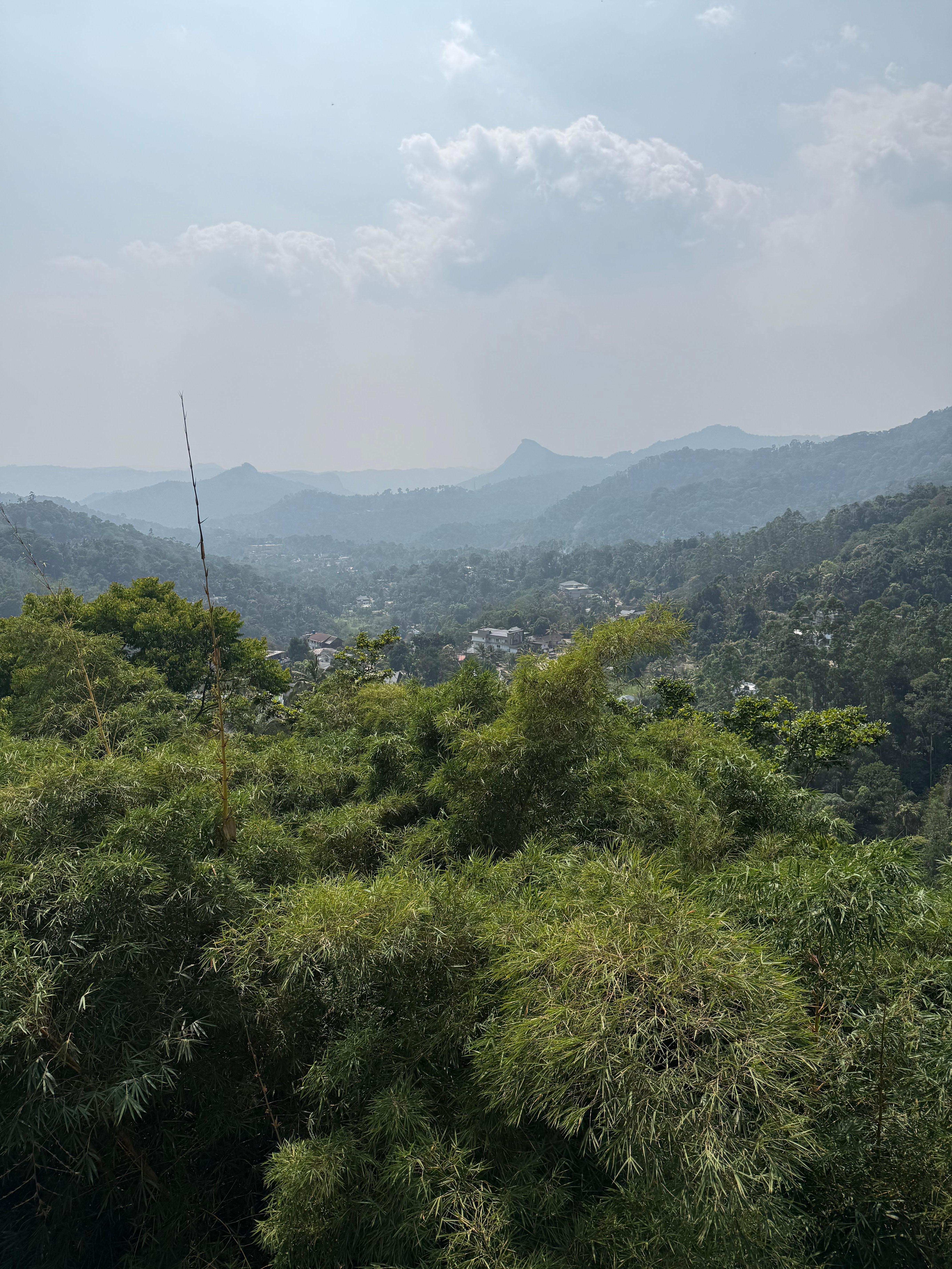 Overlooking mountains 