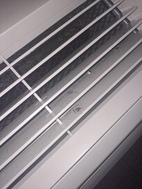 Mold in ac unit
