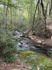 Trekked our way to the babbling brook behind the property - so tranquil