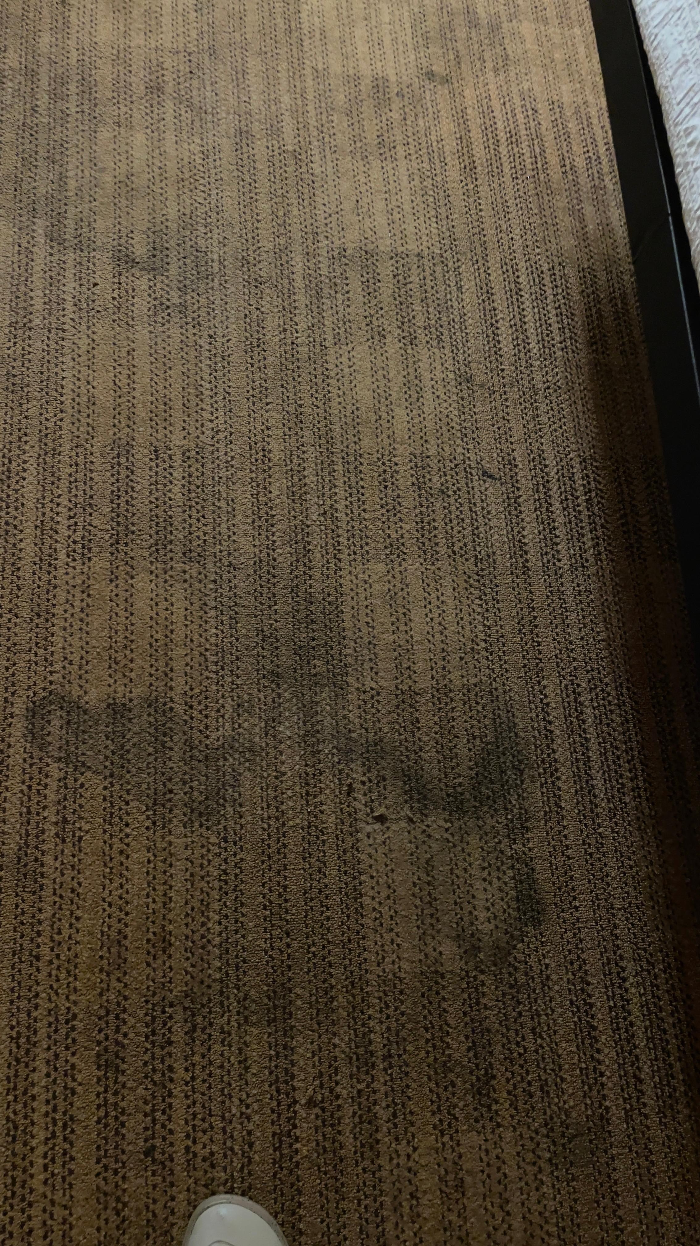 According to their front desk, their nicest room available