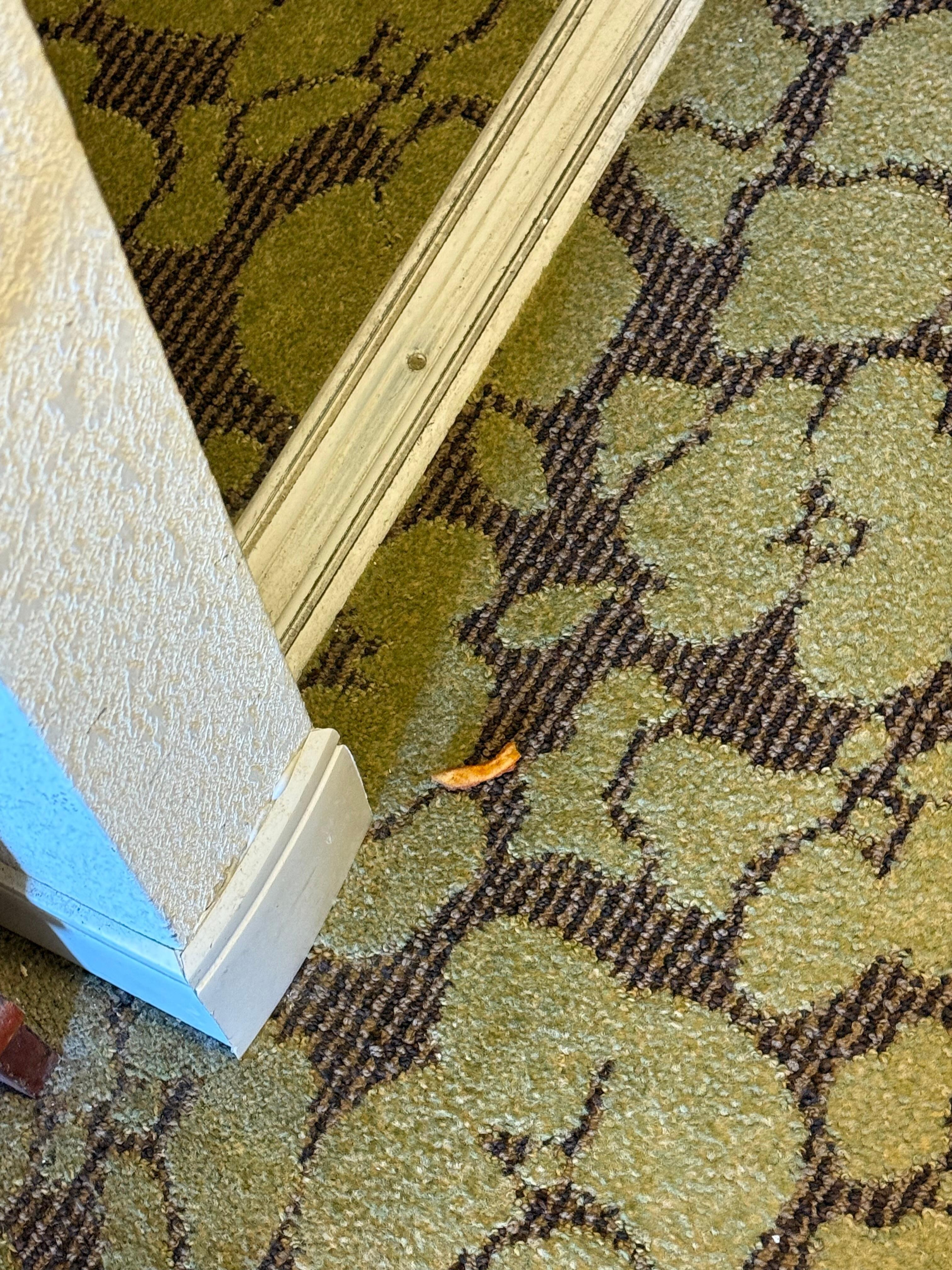 French fry on floor. We didn’t have any food in room