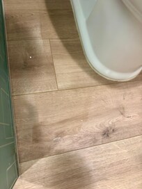 Hard to see but this was the large pool of water from the toliet when i flushed