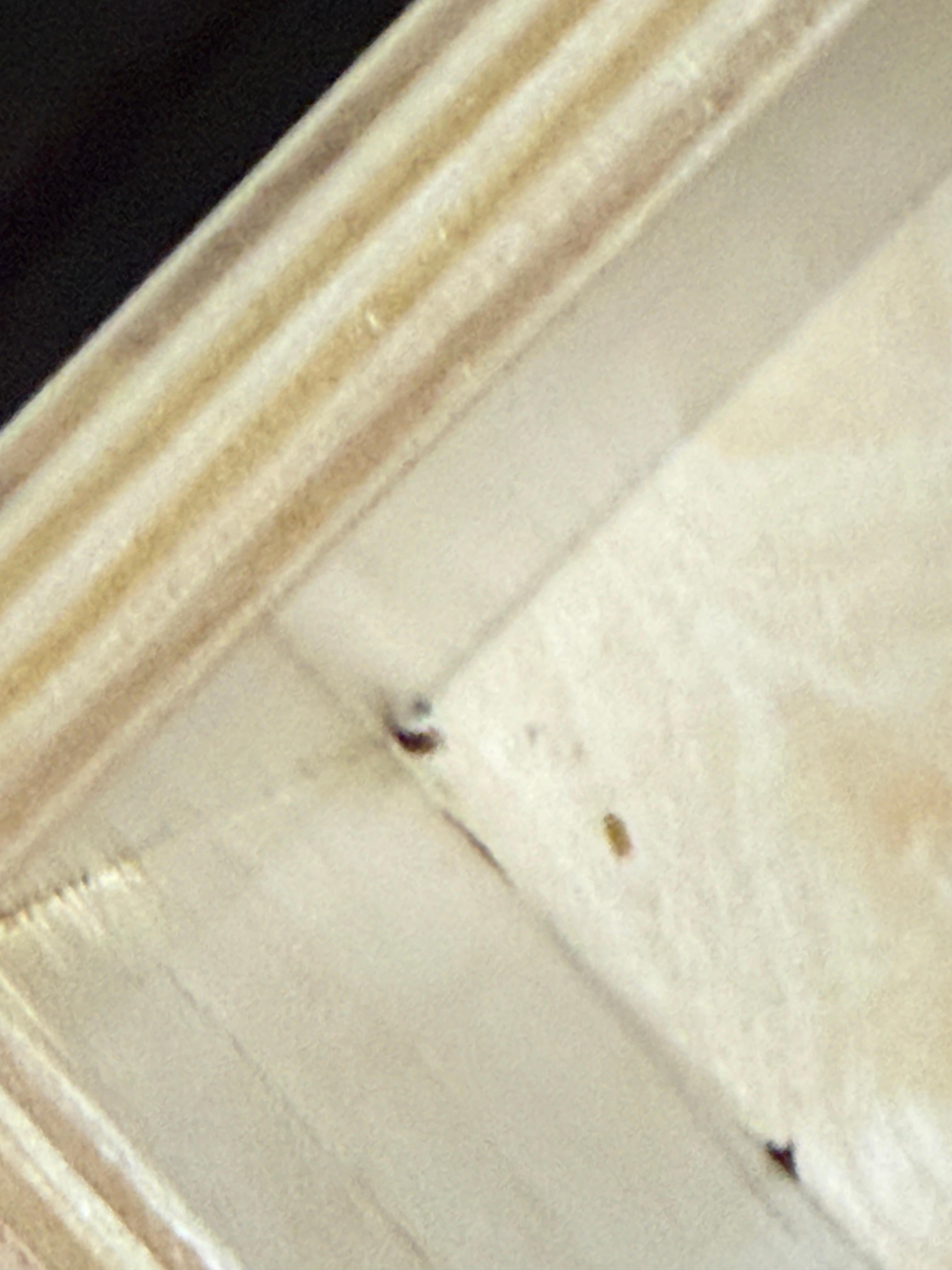 Dead bugs in nightstand 