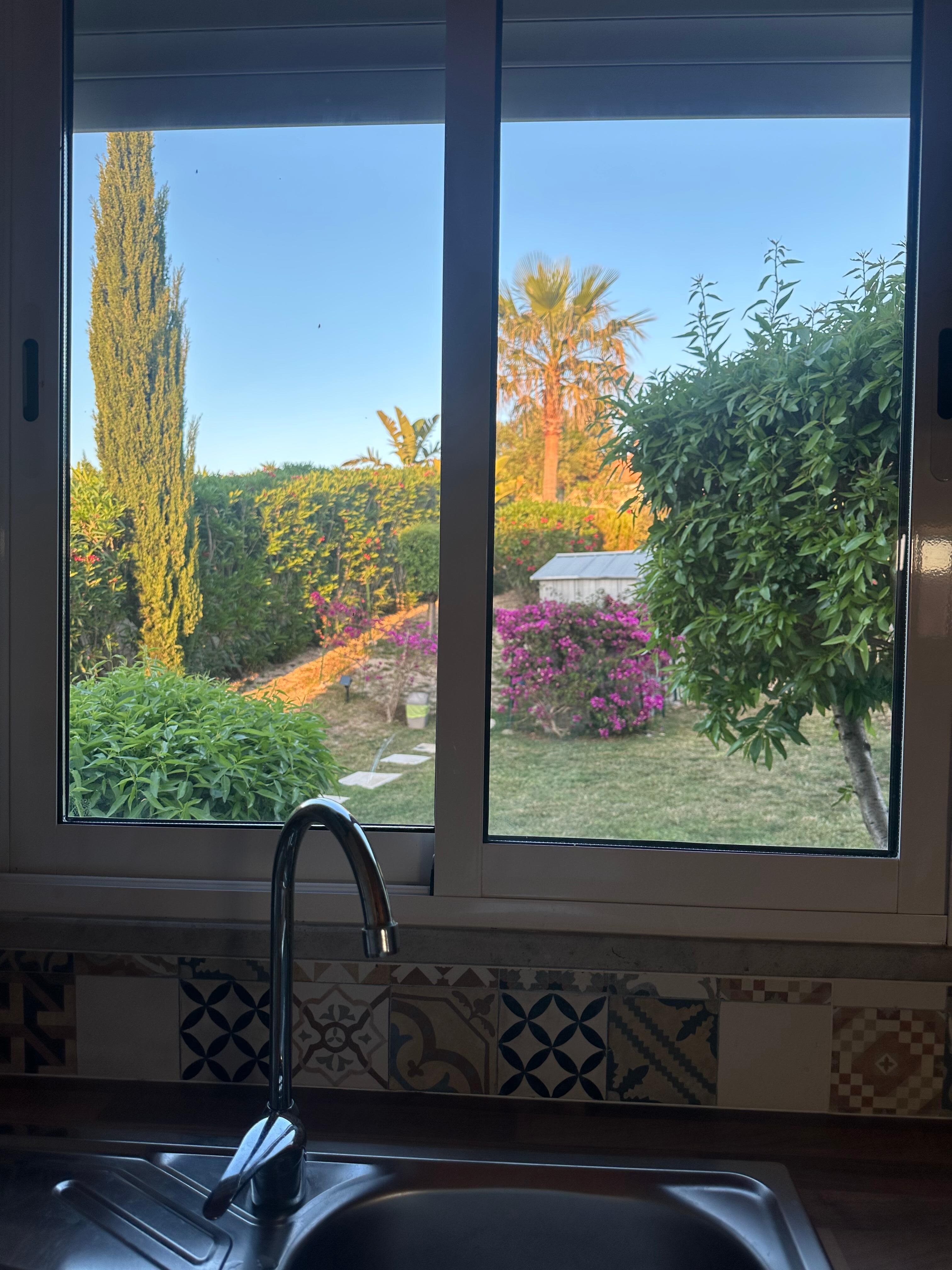 View from kitchen window of garden