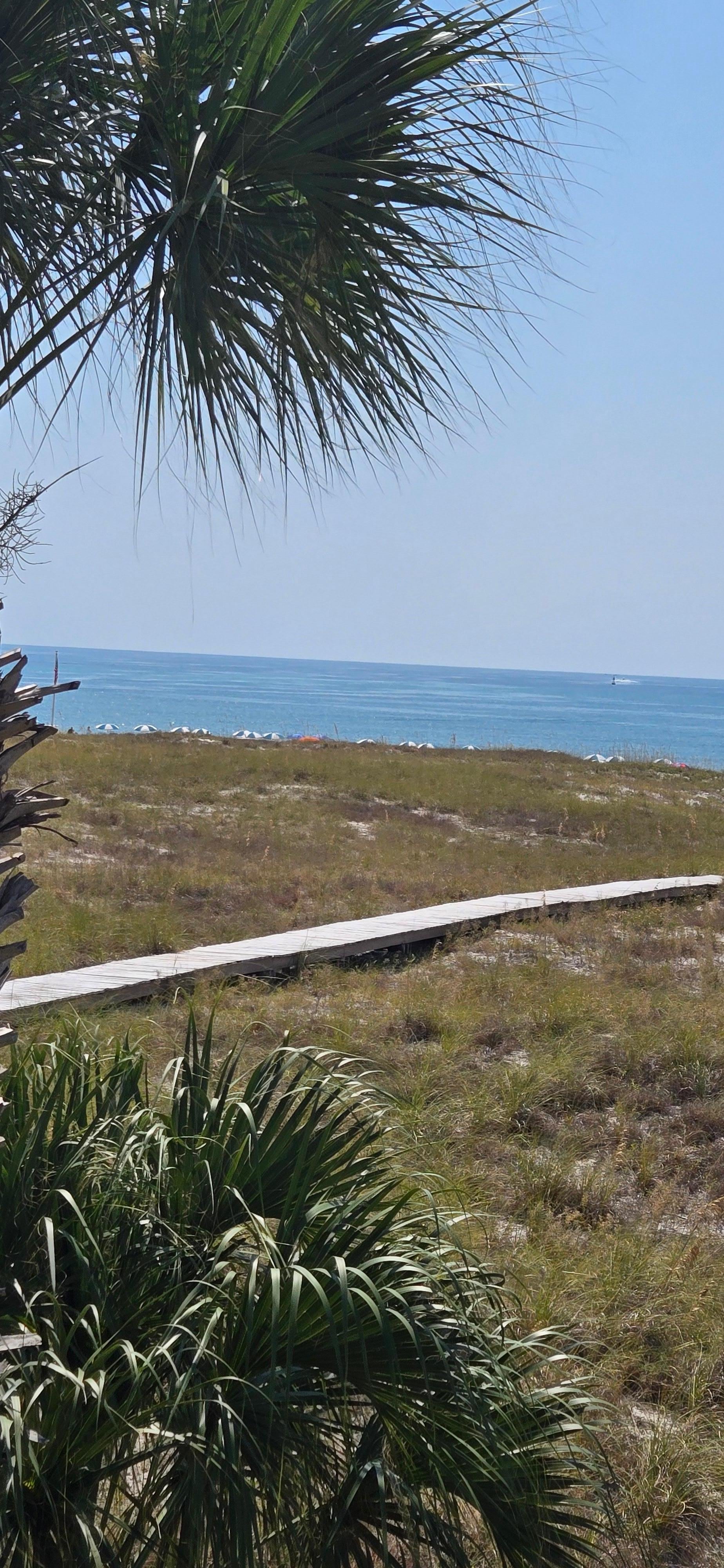 View from the balcony.