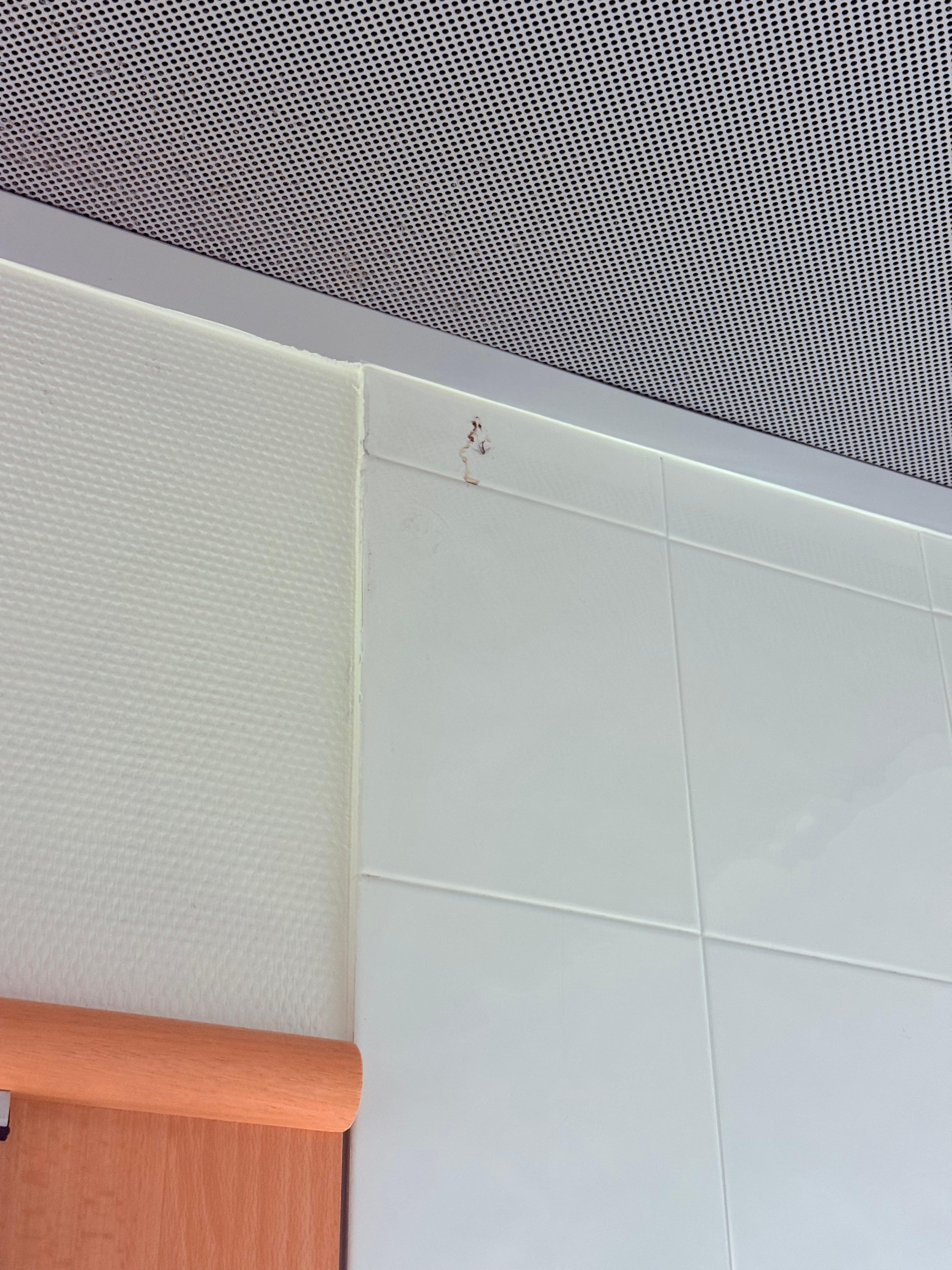 Banyoda duvarlar ve küvet kıl dolu asla temizlememişler