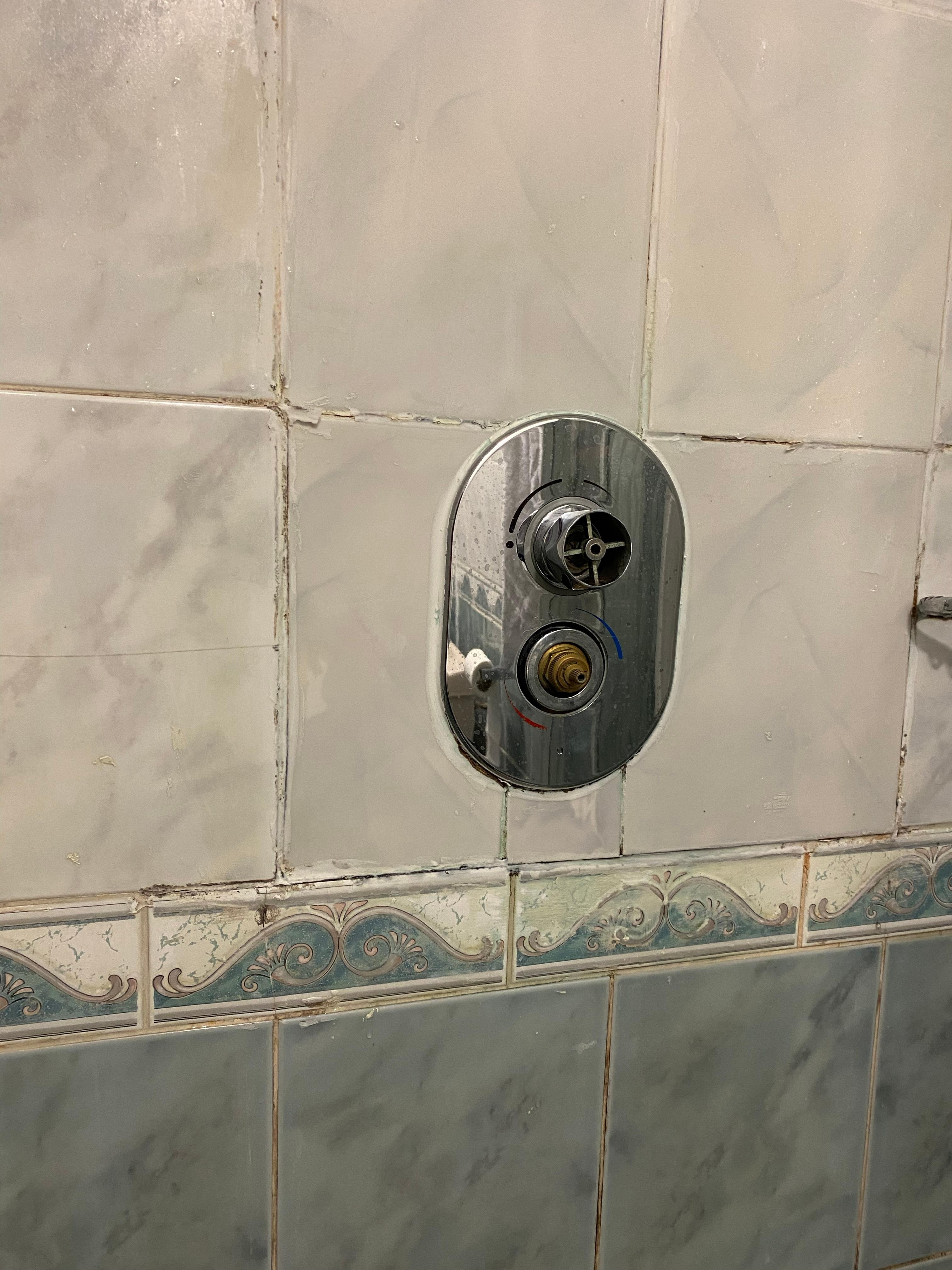 shower 'handles'
