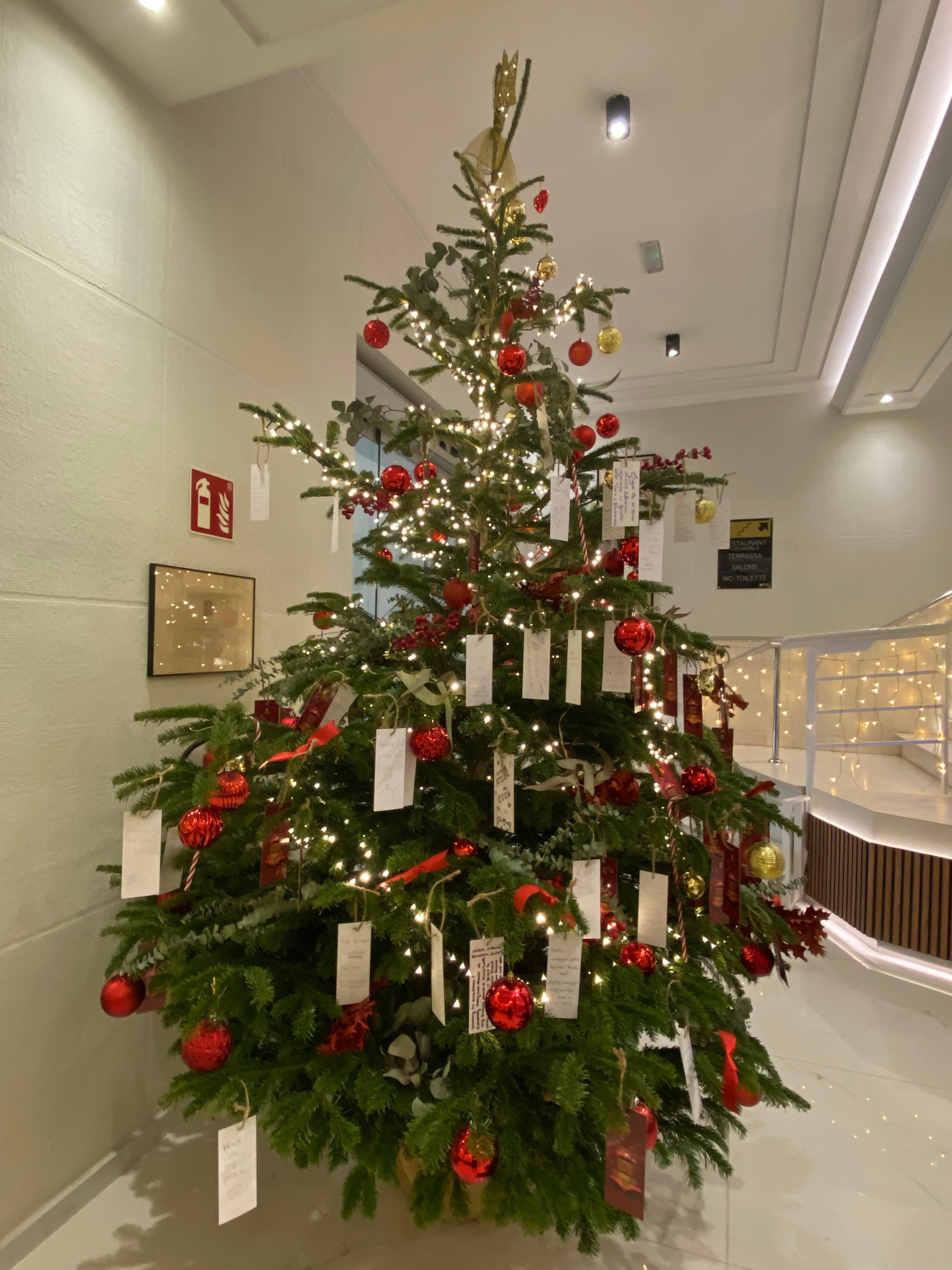 Make a wish Christmas tree. I want kindness. 