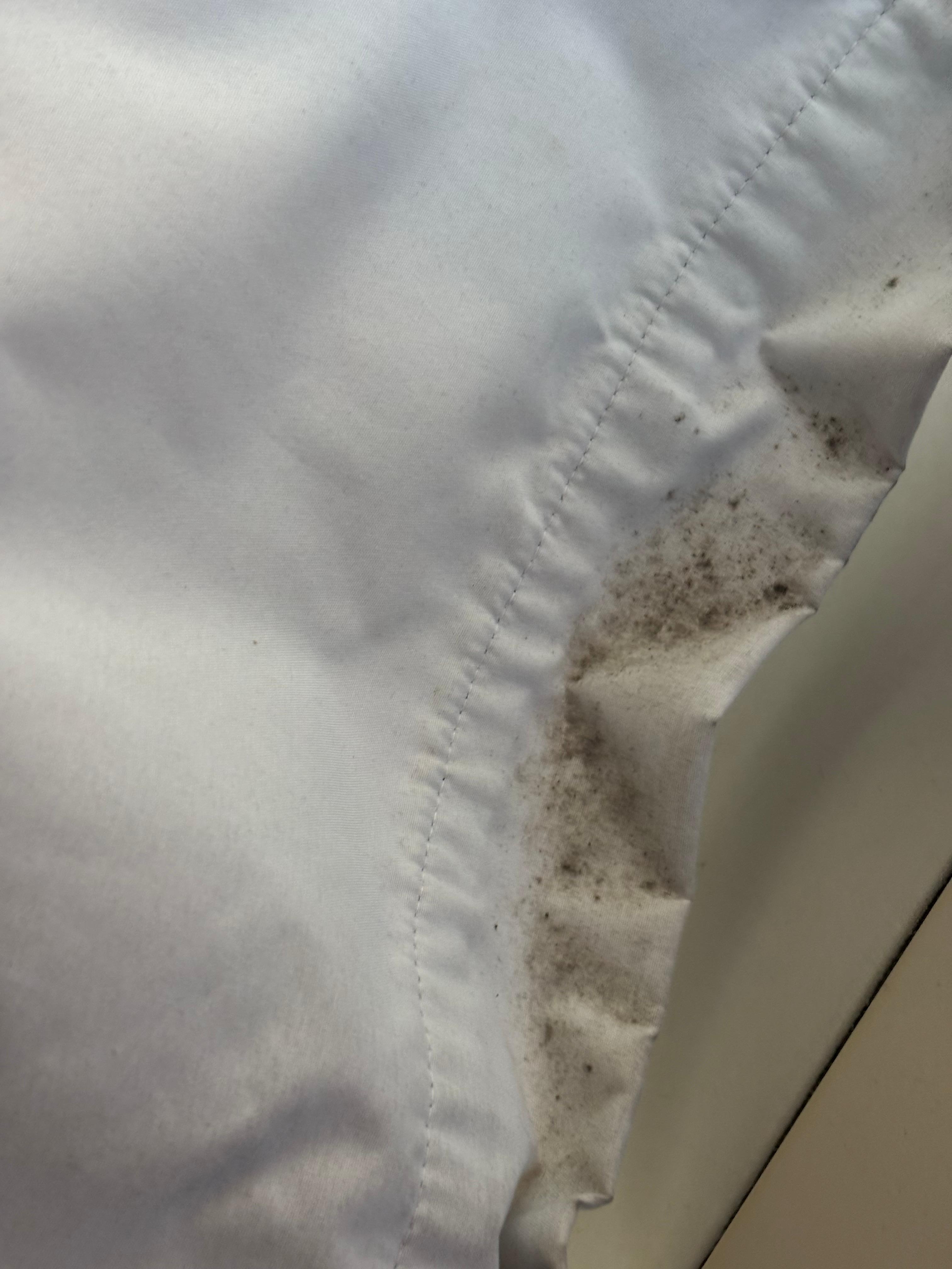 Mold on curtains