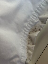 Mold on curtains
