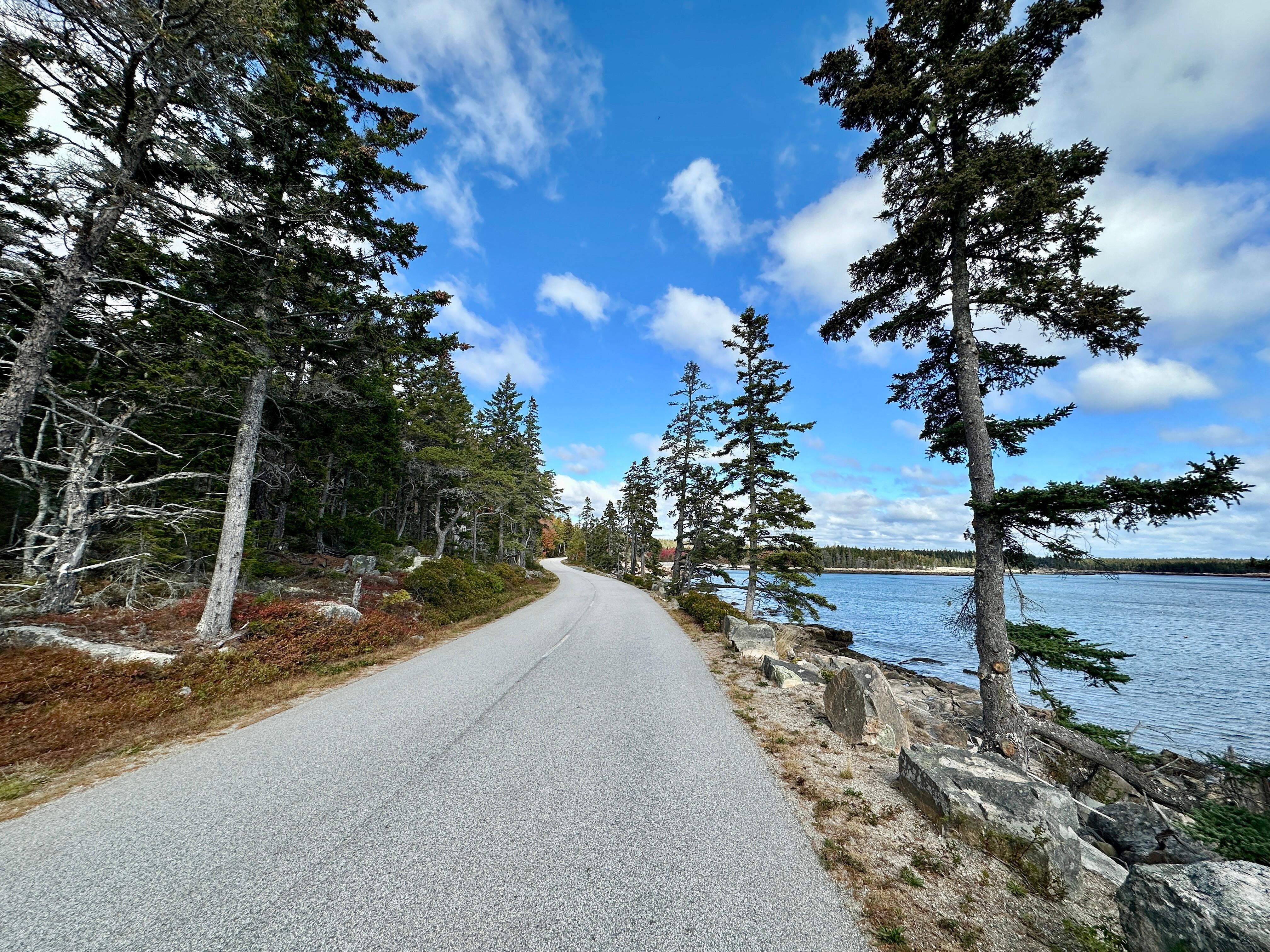 Acadia NP loop road 