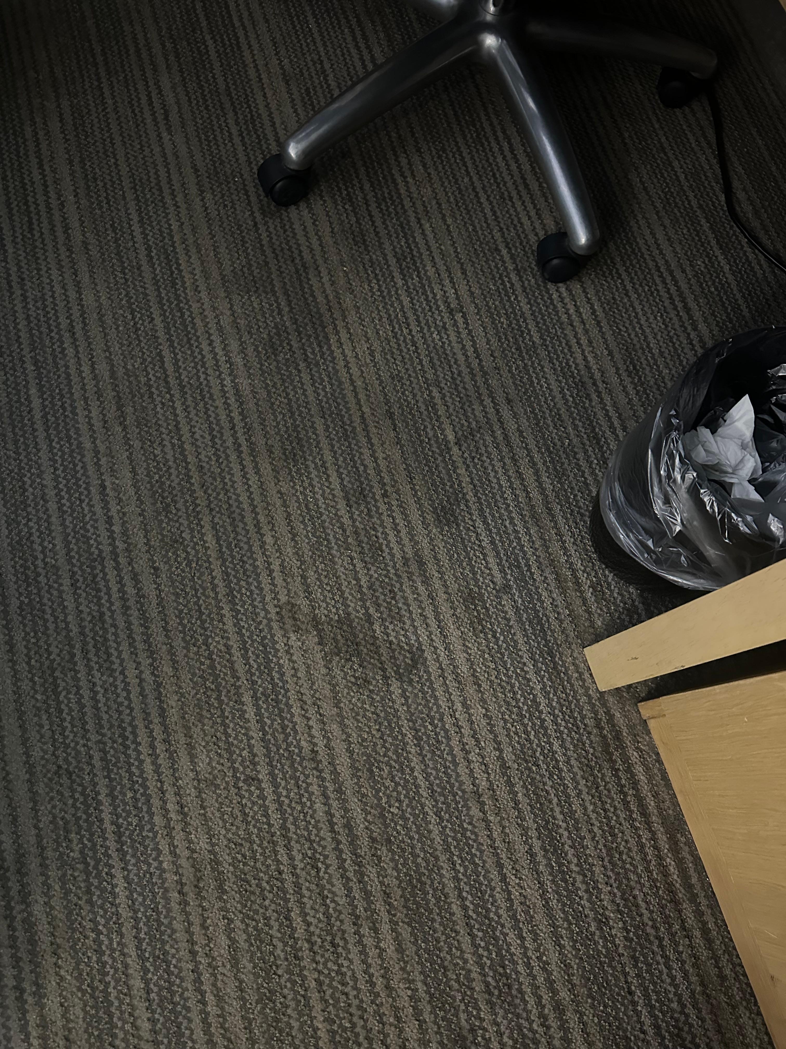 More stains in the carper