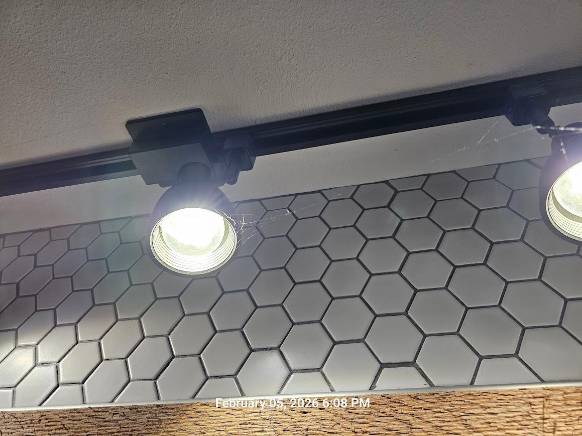 Spider webs on lights