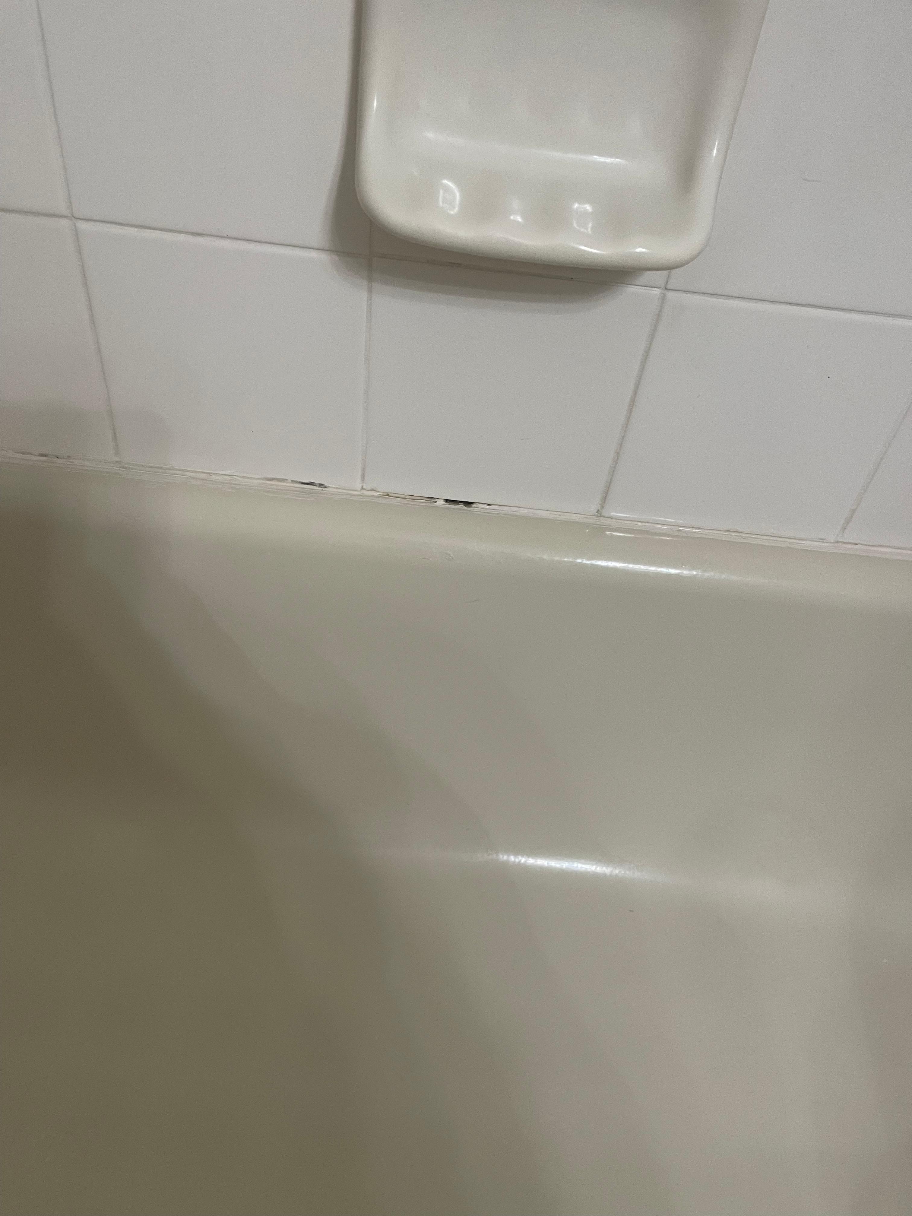 Tub cauking had mold