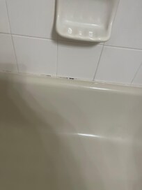 Tub cauking had mold