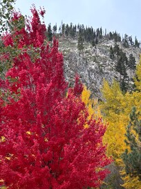 From the front window