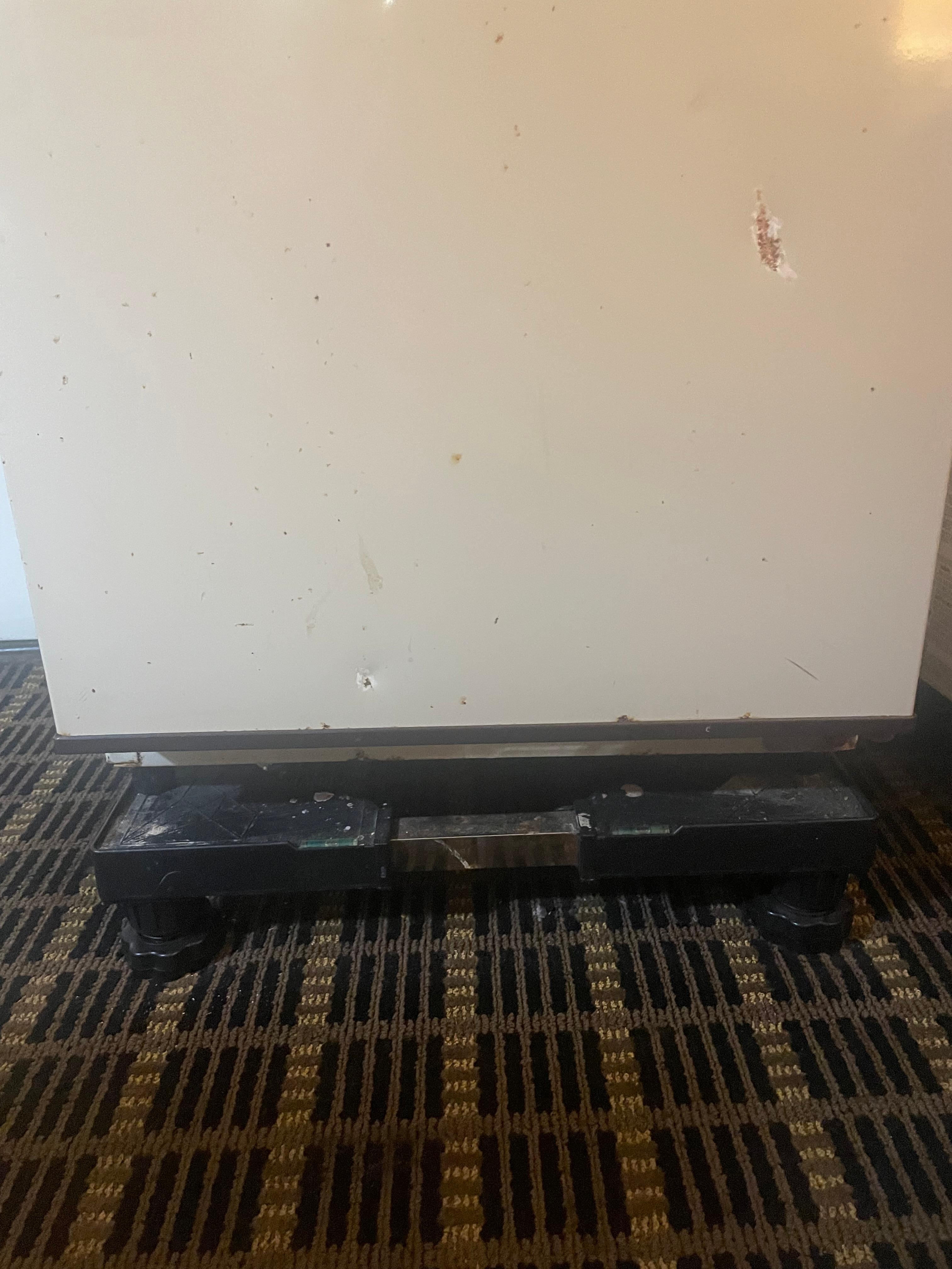 There were some pretty scurvy things under there 