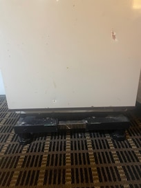 There were some pretty scurvy things under there