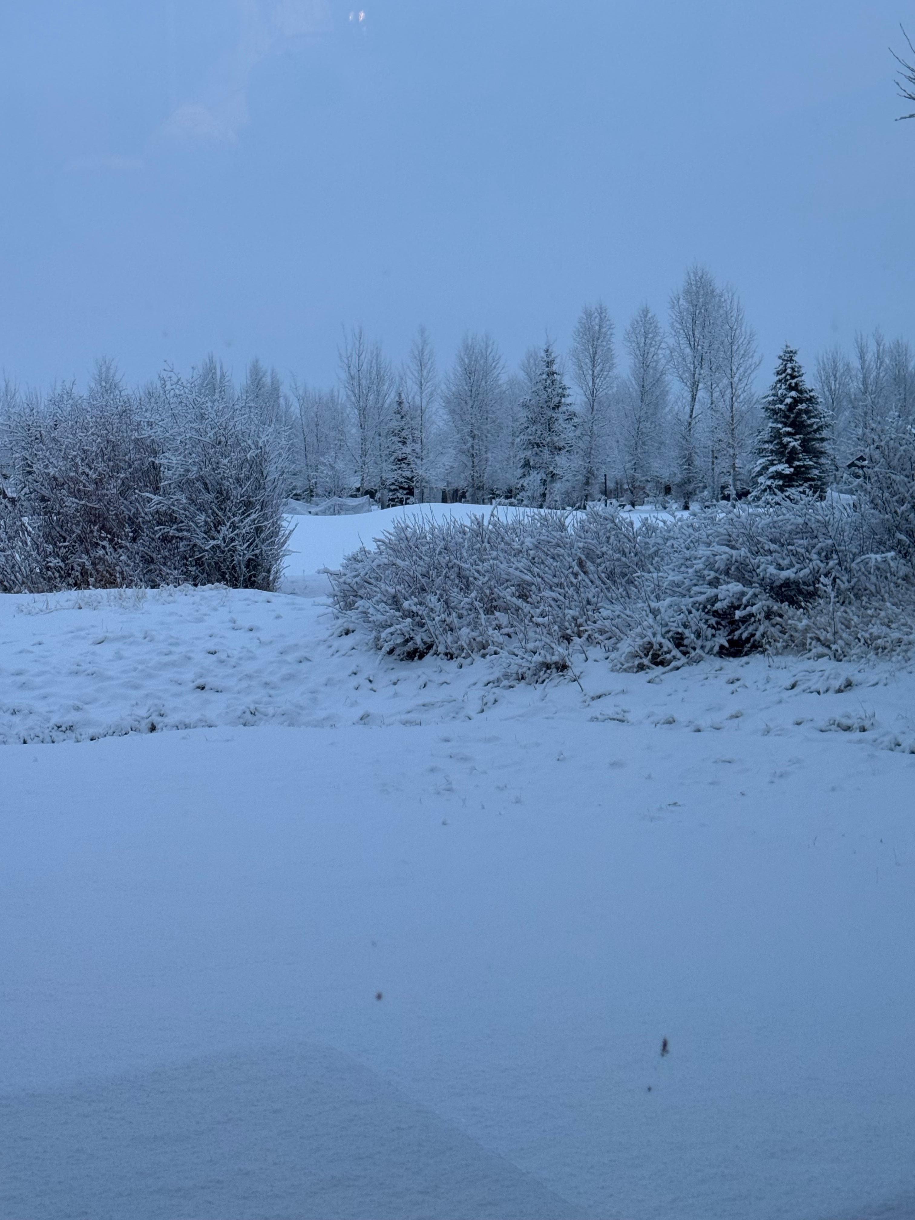 View from the family room