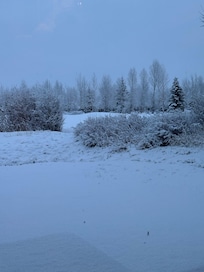 View from the family room