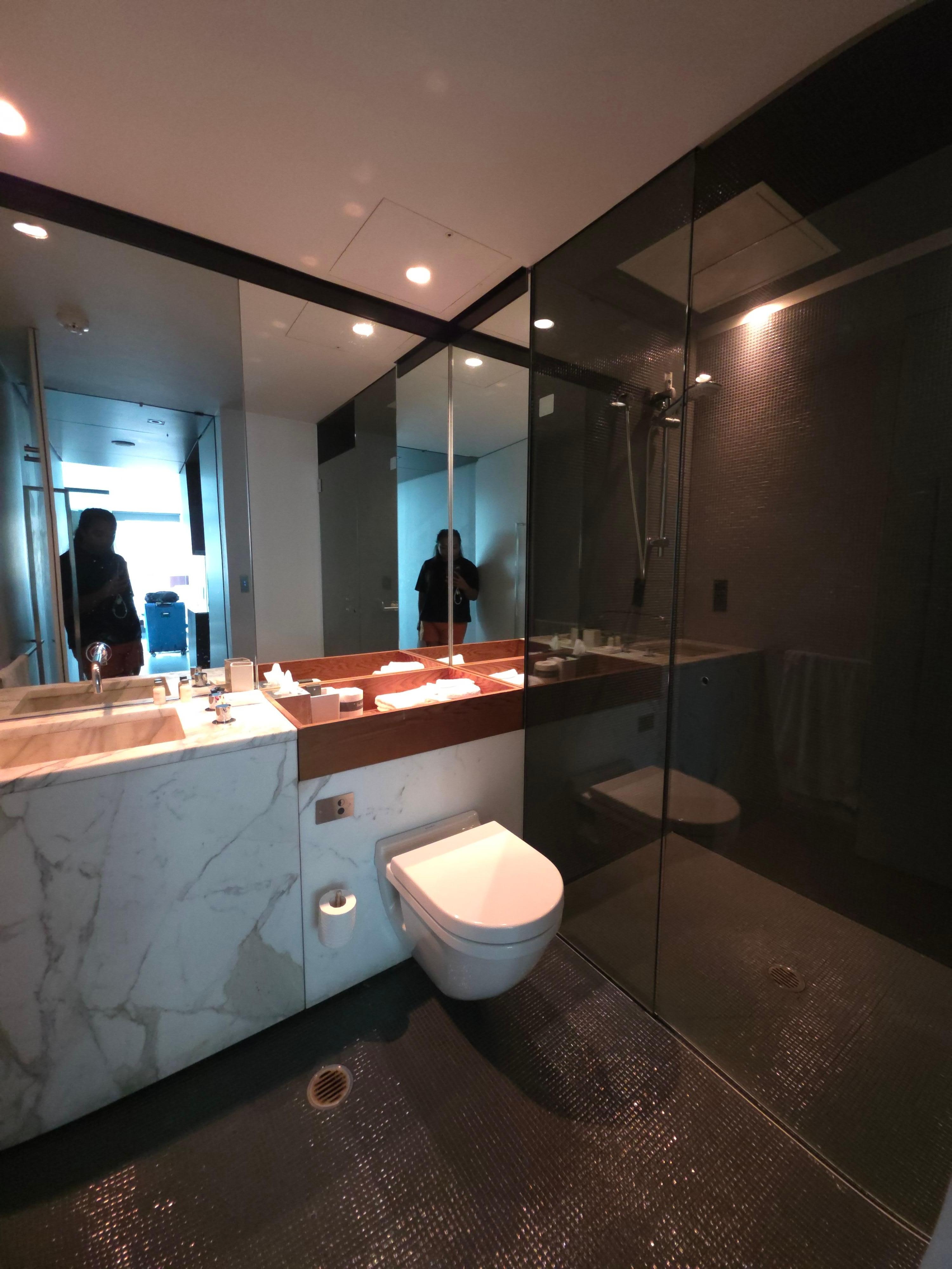 The bathroom was very spacious for all of my personal items with a clean toilet and very very spacious shower.