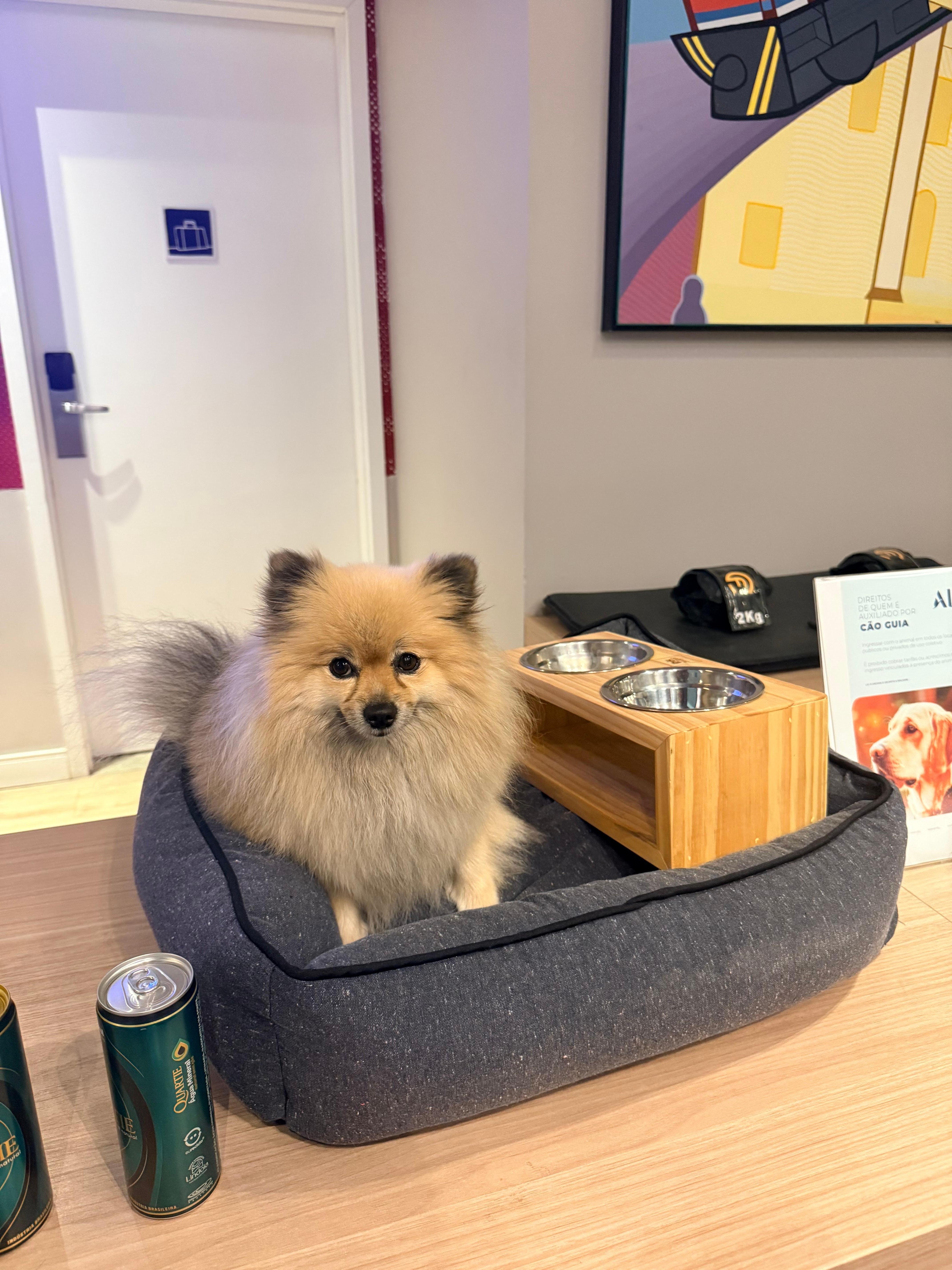 O tratamento com seu pet é excelente. 