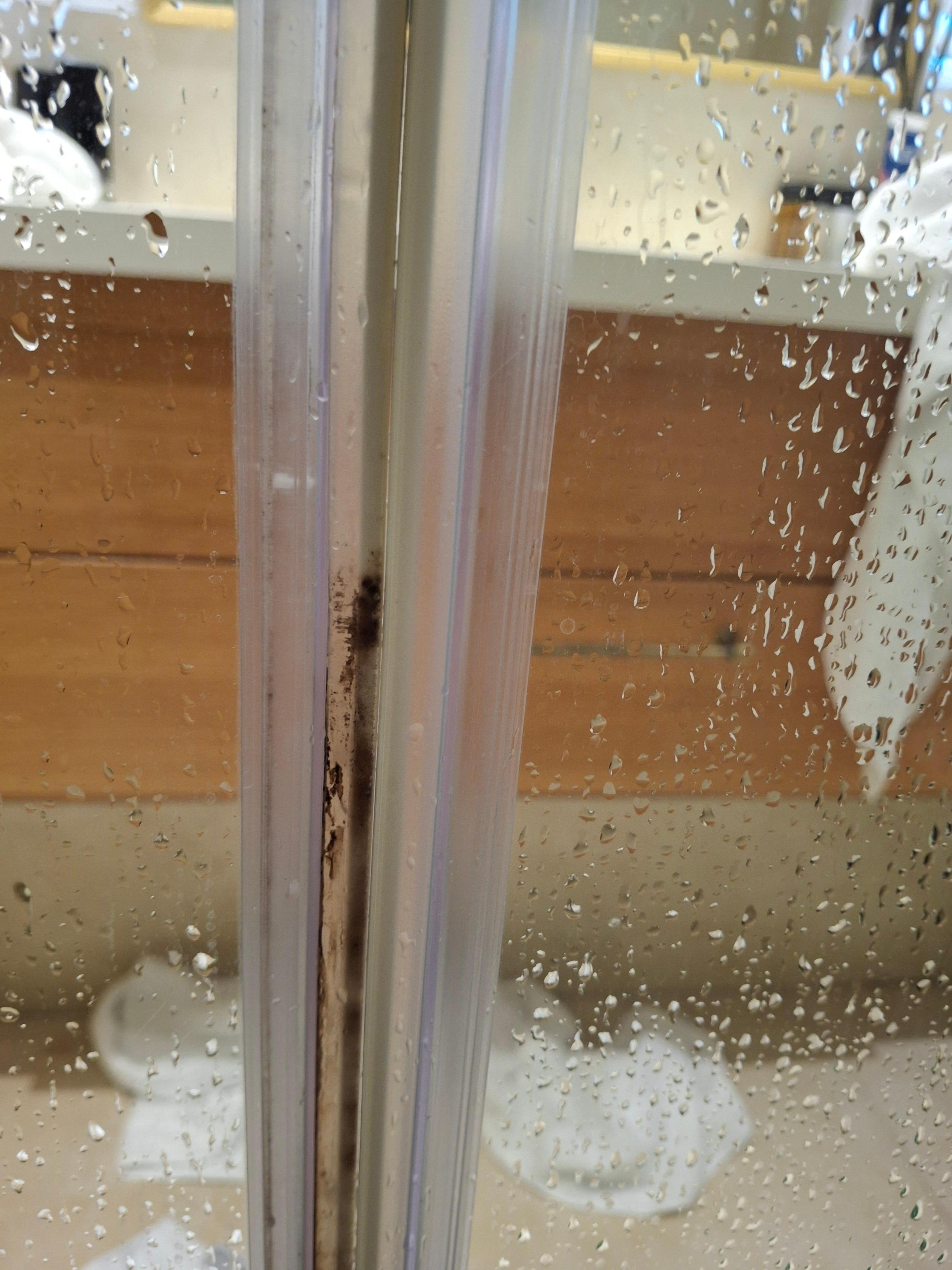 Mold in bathroom
