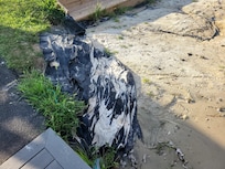 Beach area by dock
