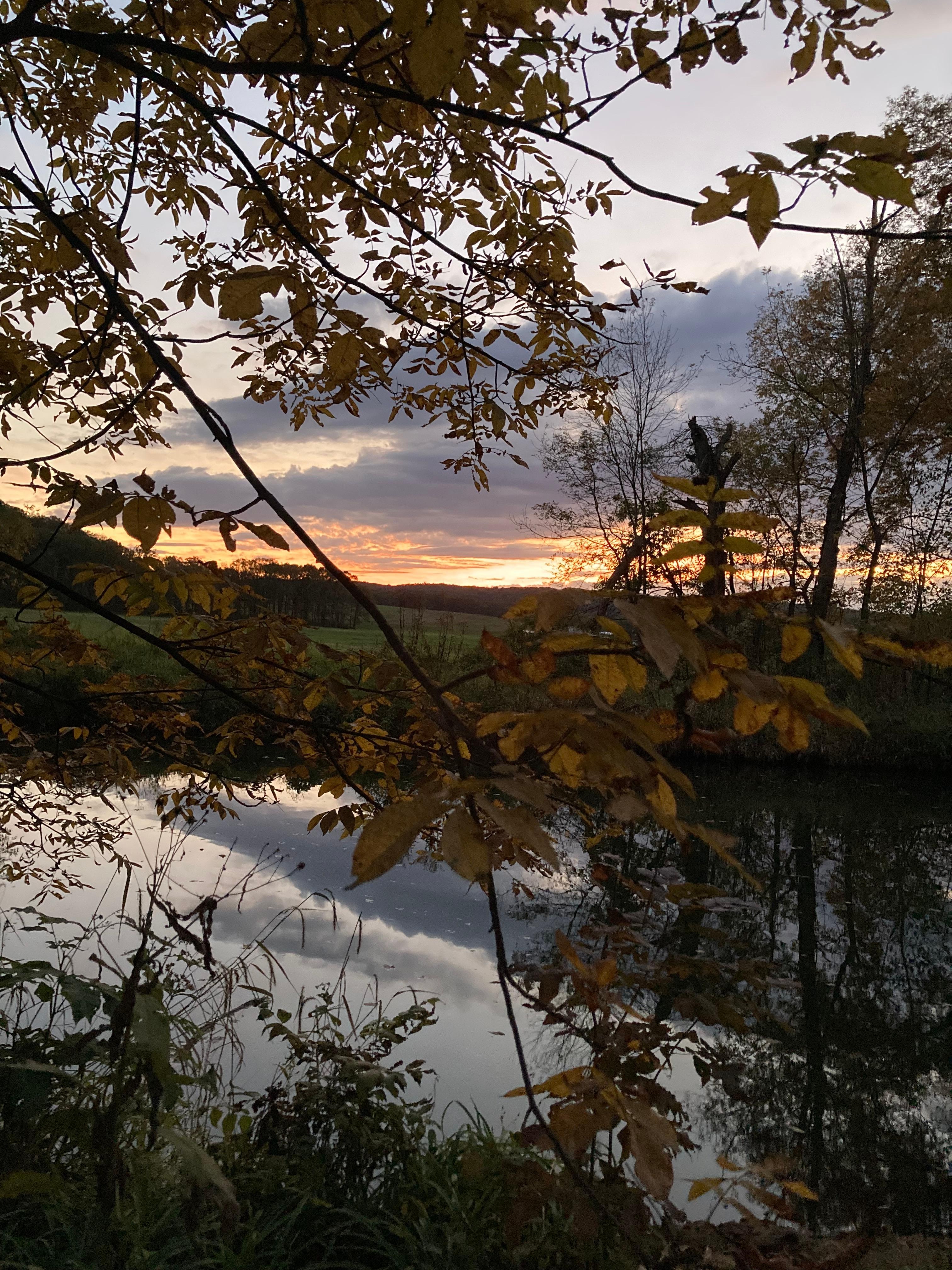 Beautiful sunset looking across the creek