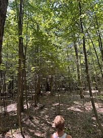 Trail behind the cabin