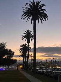 View right outside the hotel at dusk