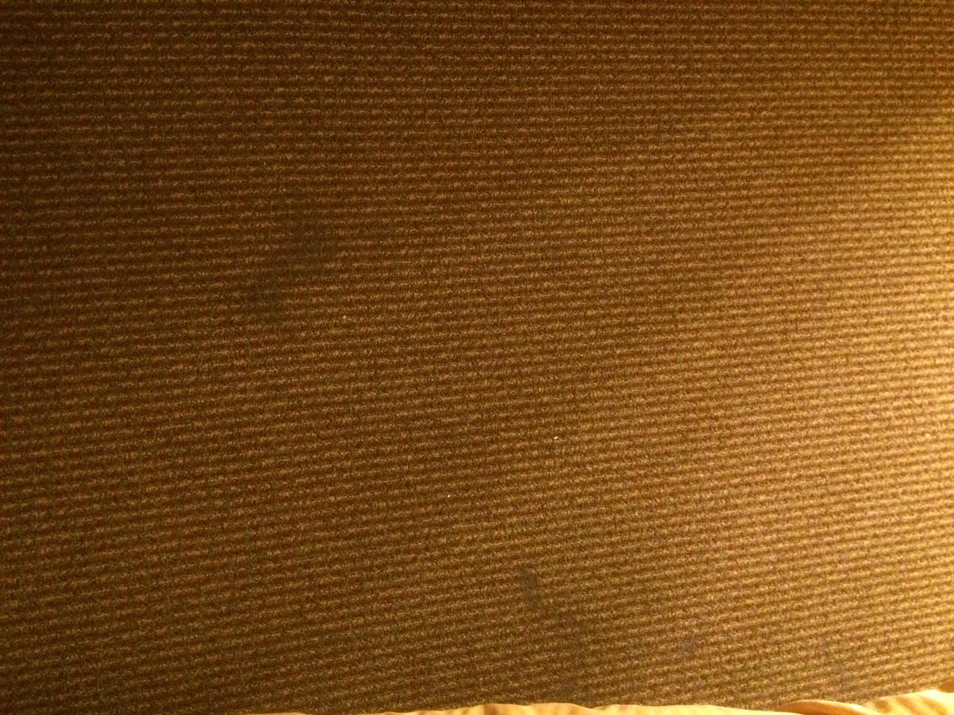 I'm not sure if this is a standard or something bad but who wants to find a bed bug trap?