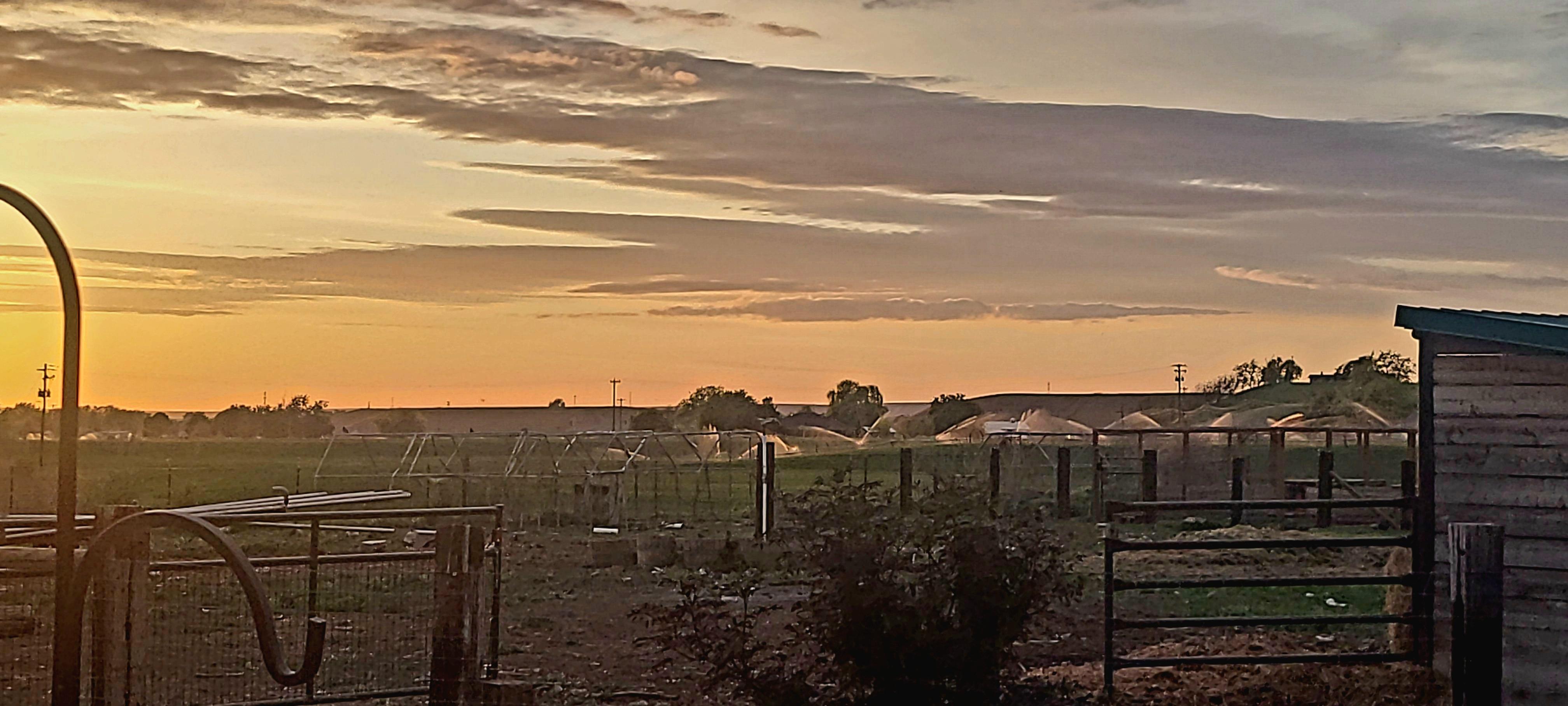 Sunset out front