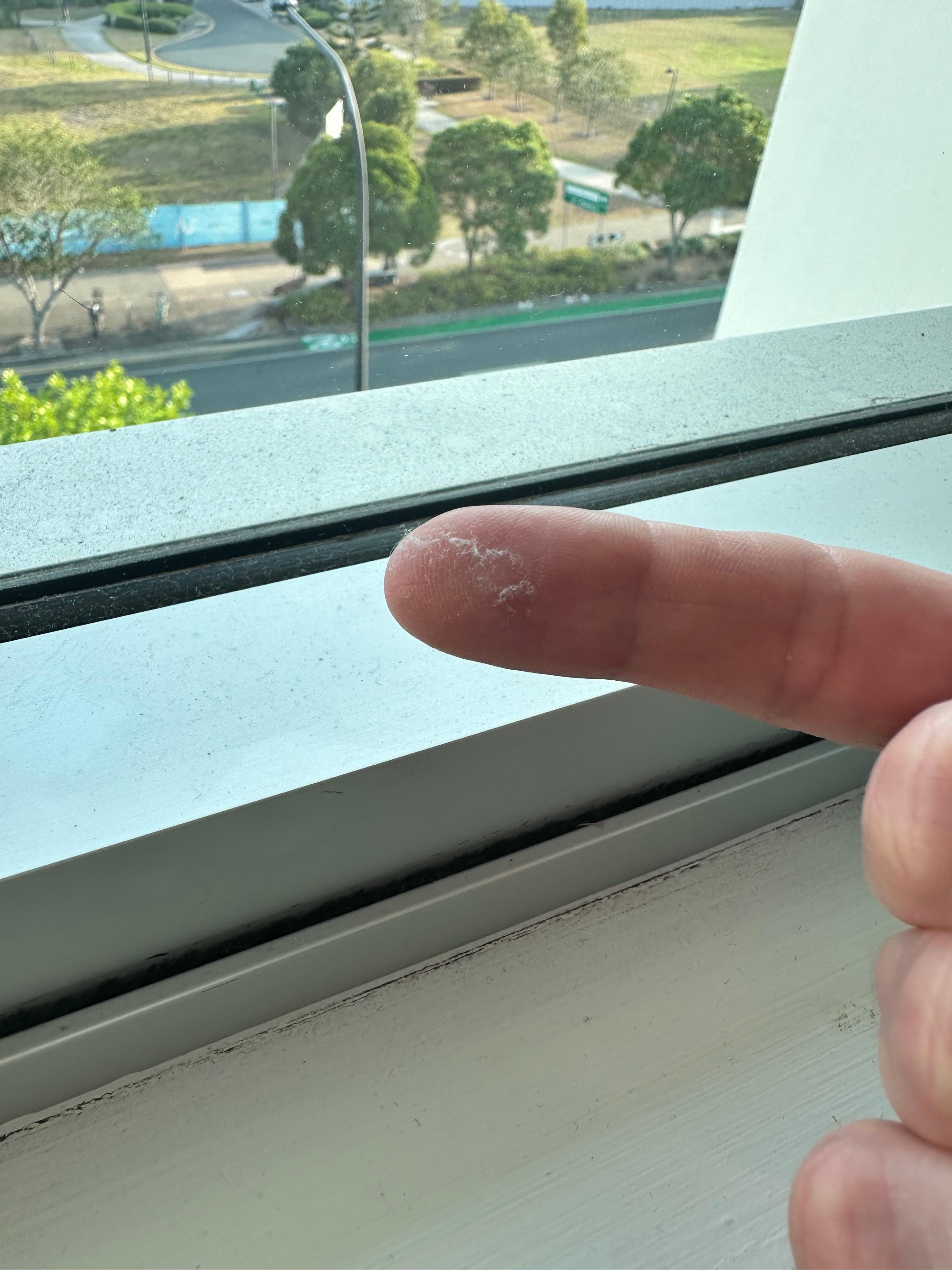 Dust in the window sill