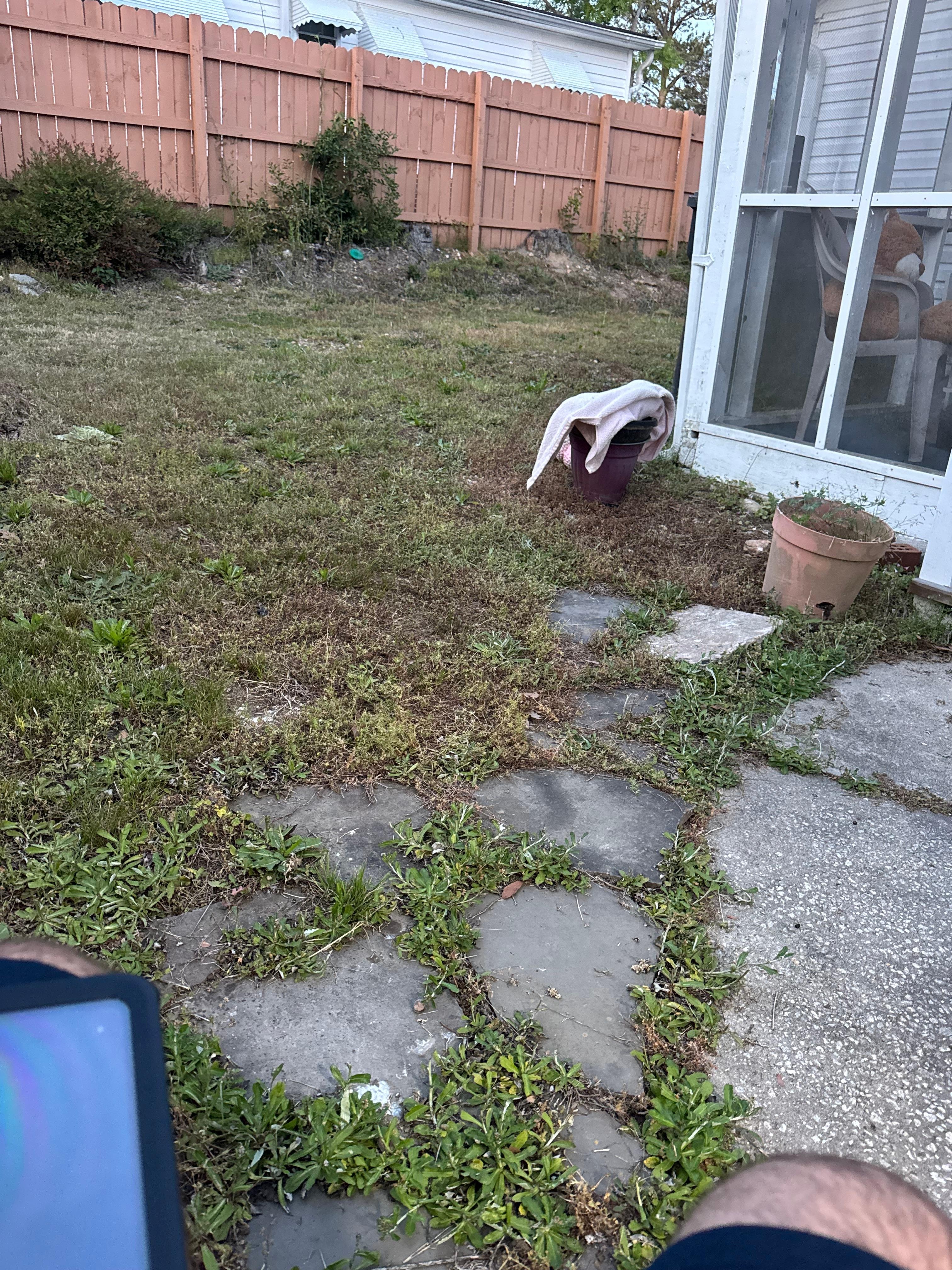 Looking out from the door of the stay. 