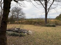 Koi pond in back yard