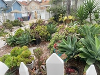 Lovely garden