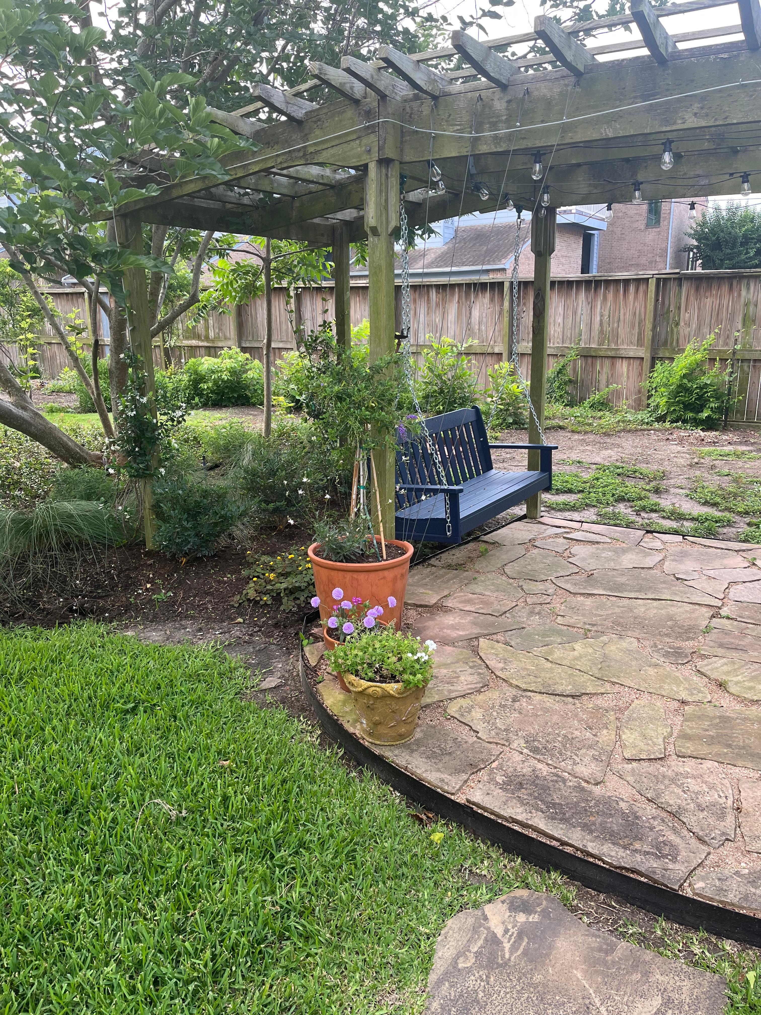Outside in the yard
