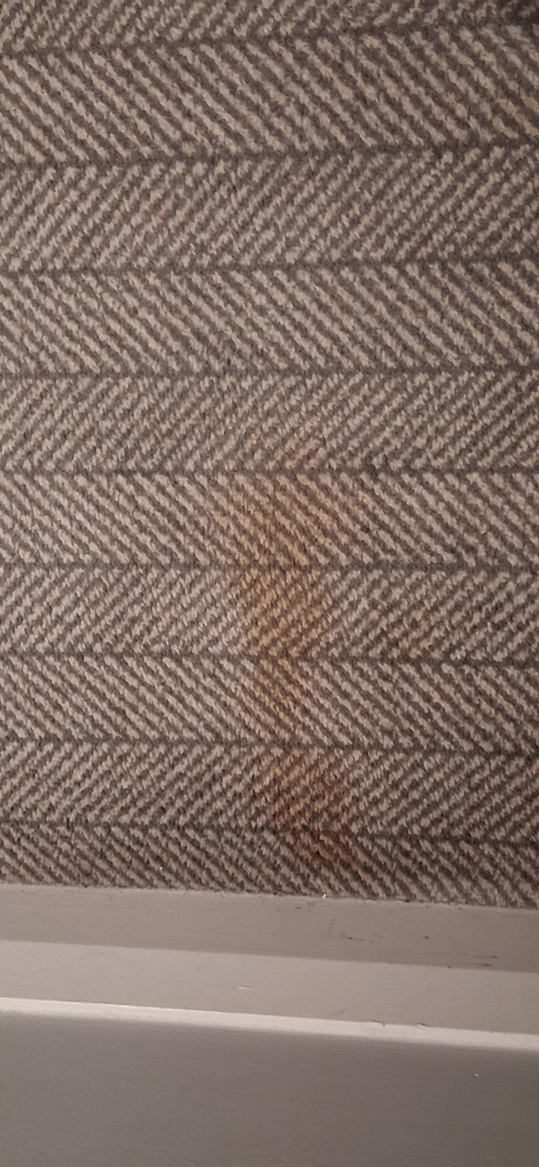 Stained carpet
