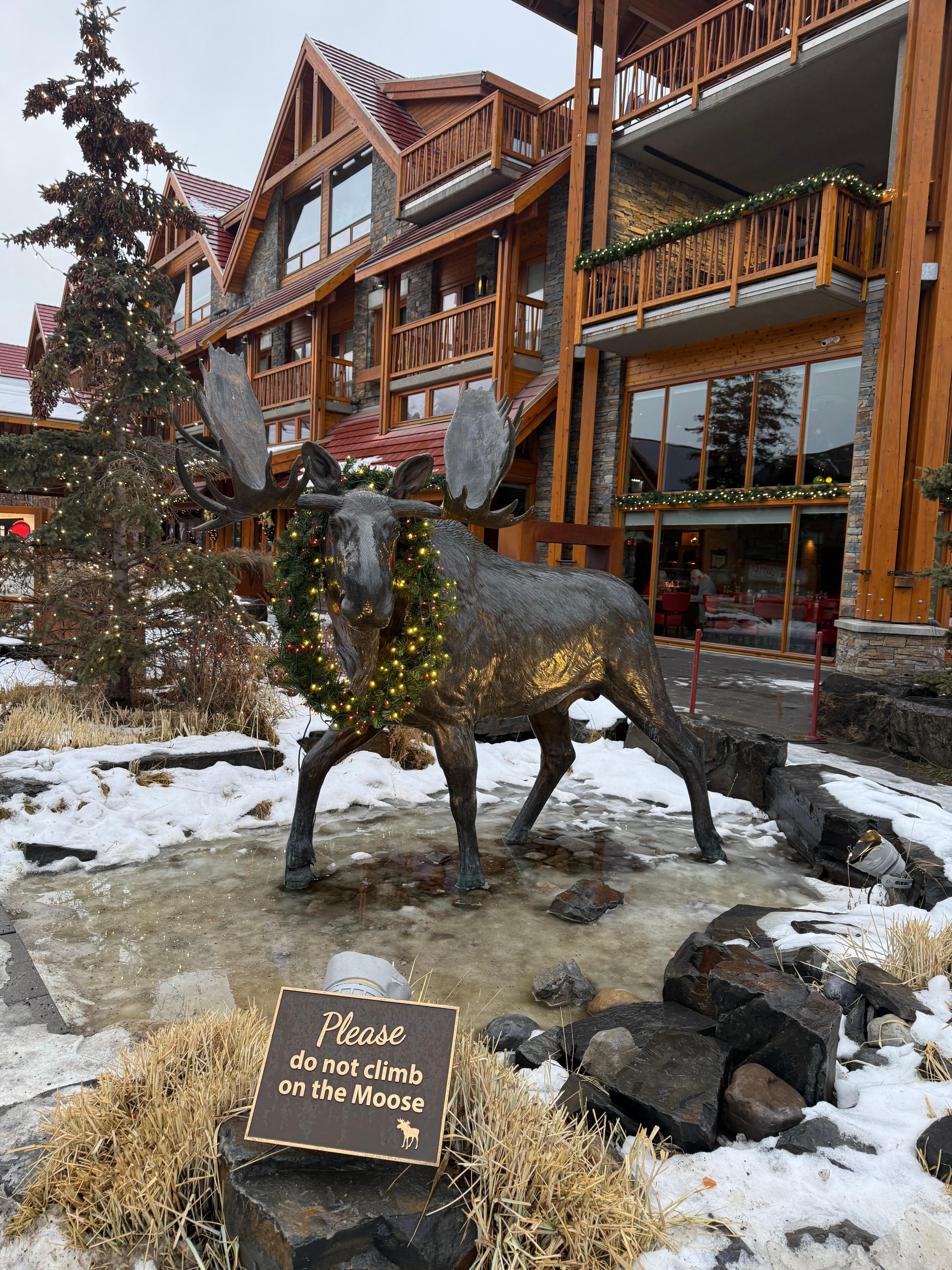 The Front of the Hotel 