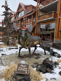 The Front of the Hotel