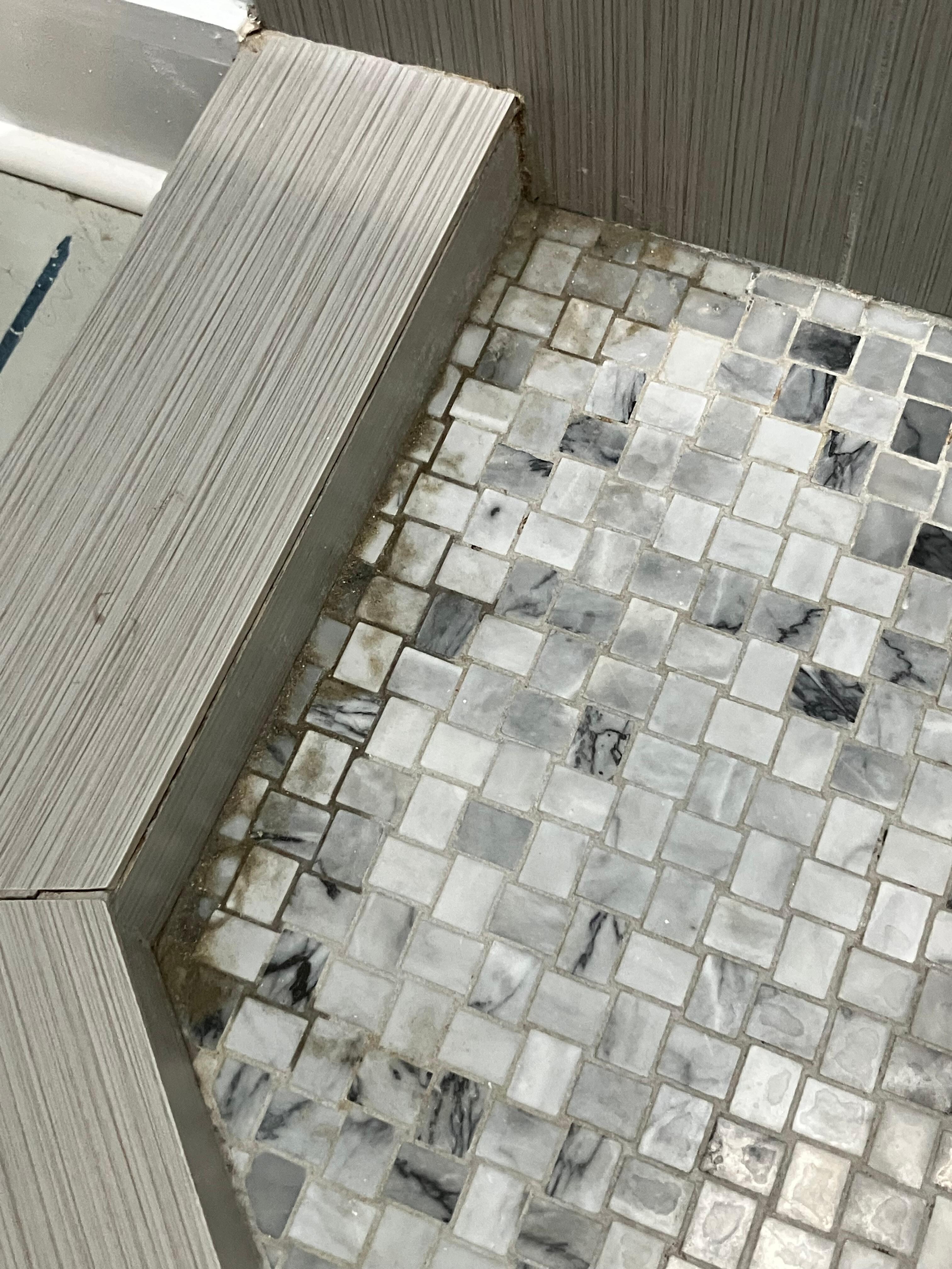 Dirty shower when we arrive 