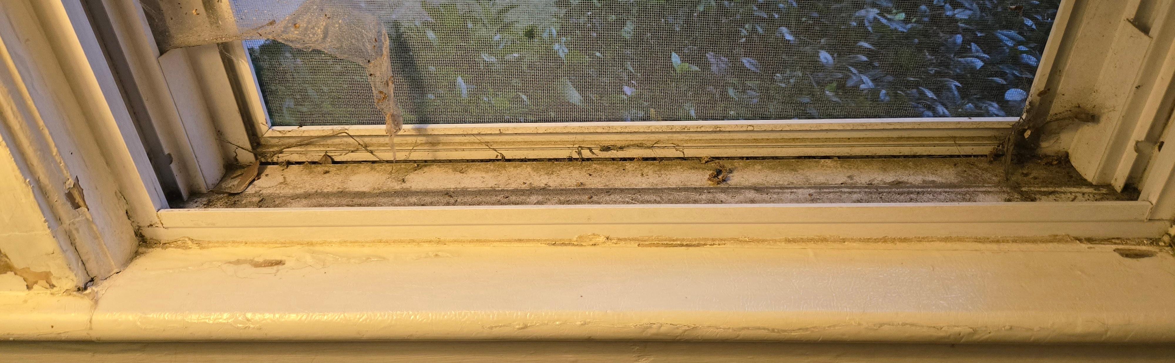 Widow sill in living room.