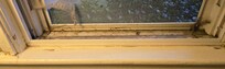 Widow sill in living room.