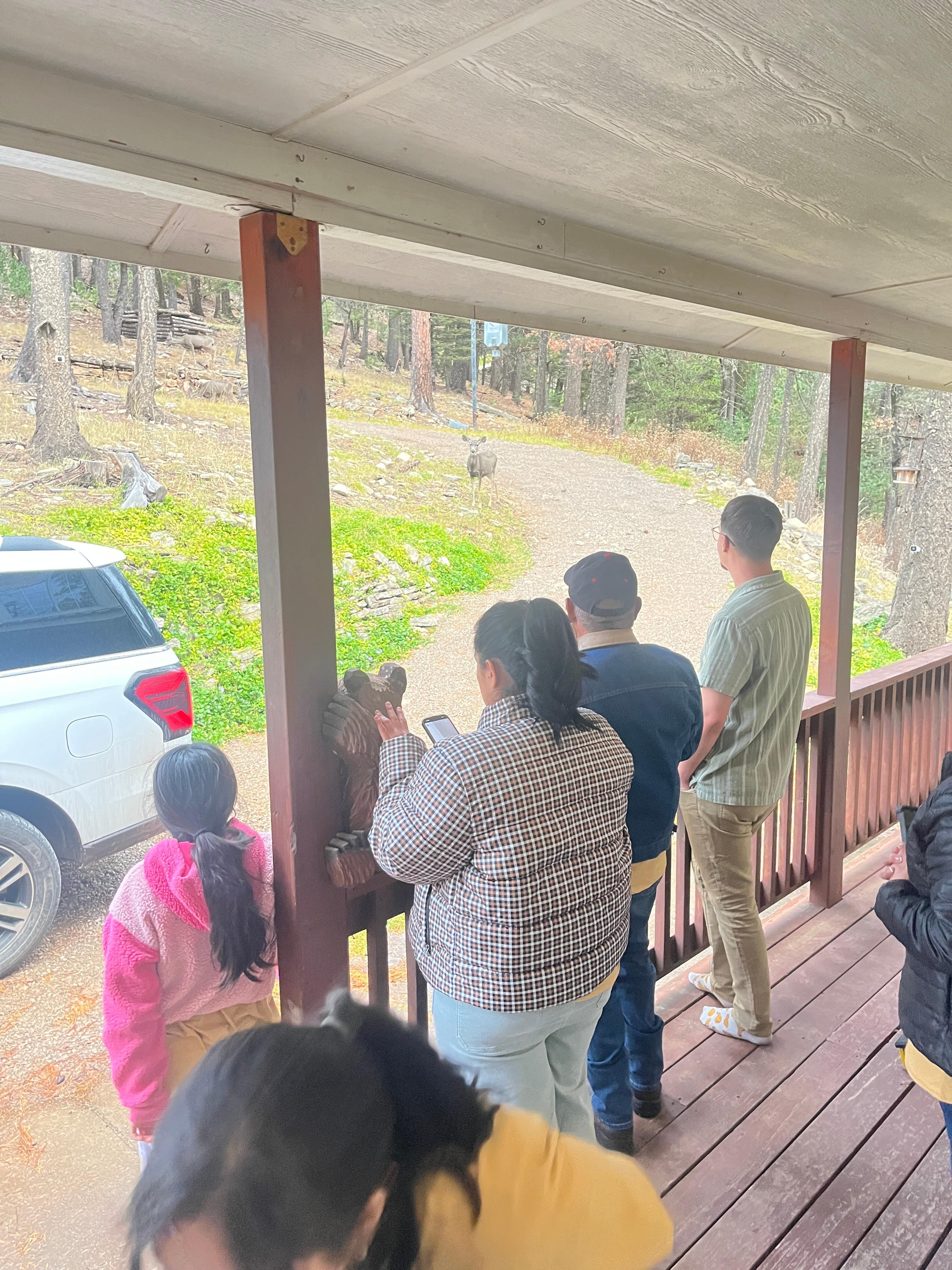 Enjoying the wildlife. 