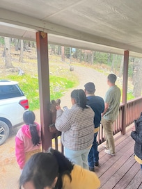 Enjoying the wildlife.