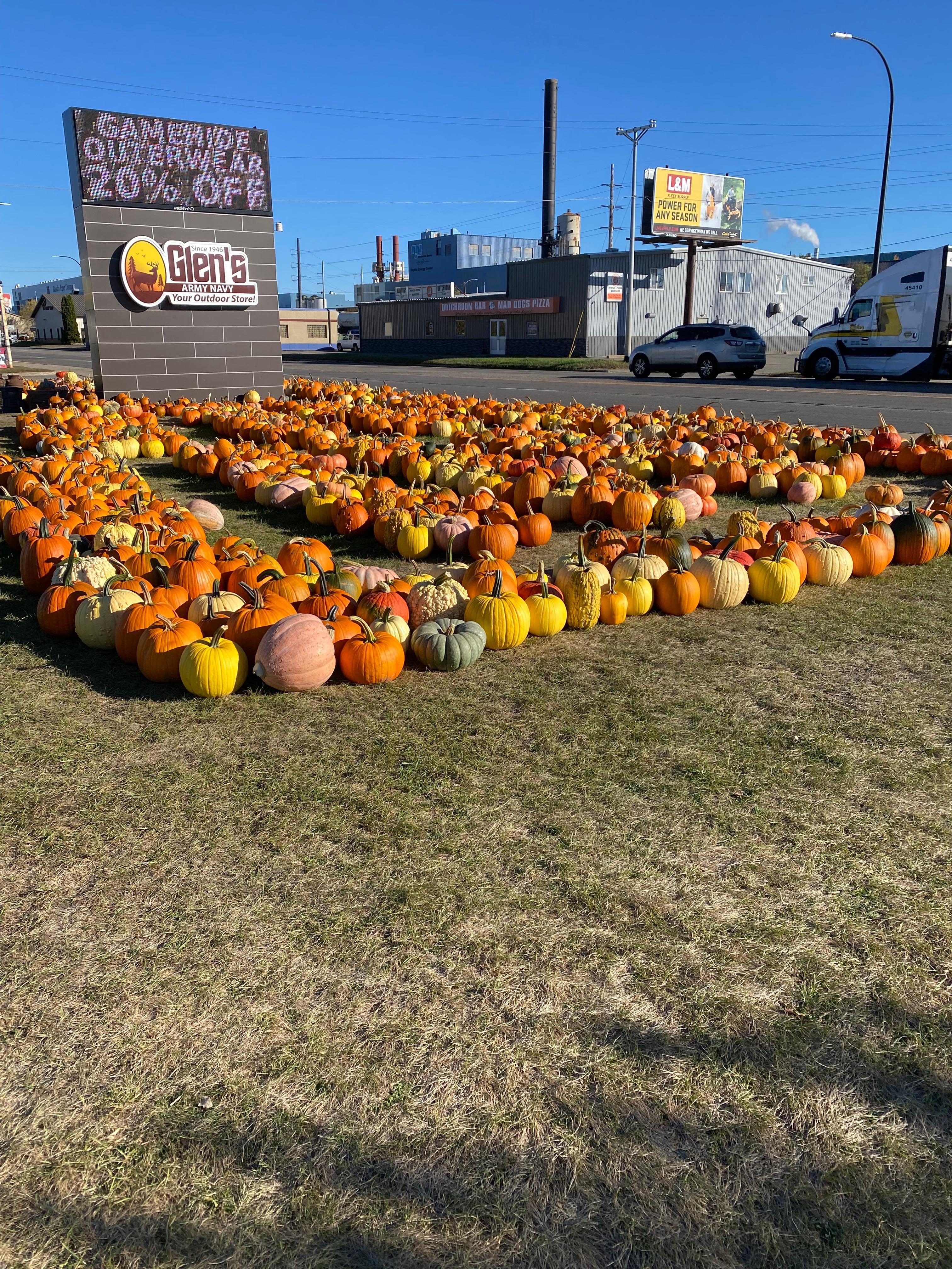 Pumpkin patch across the street