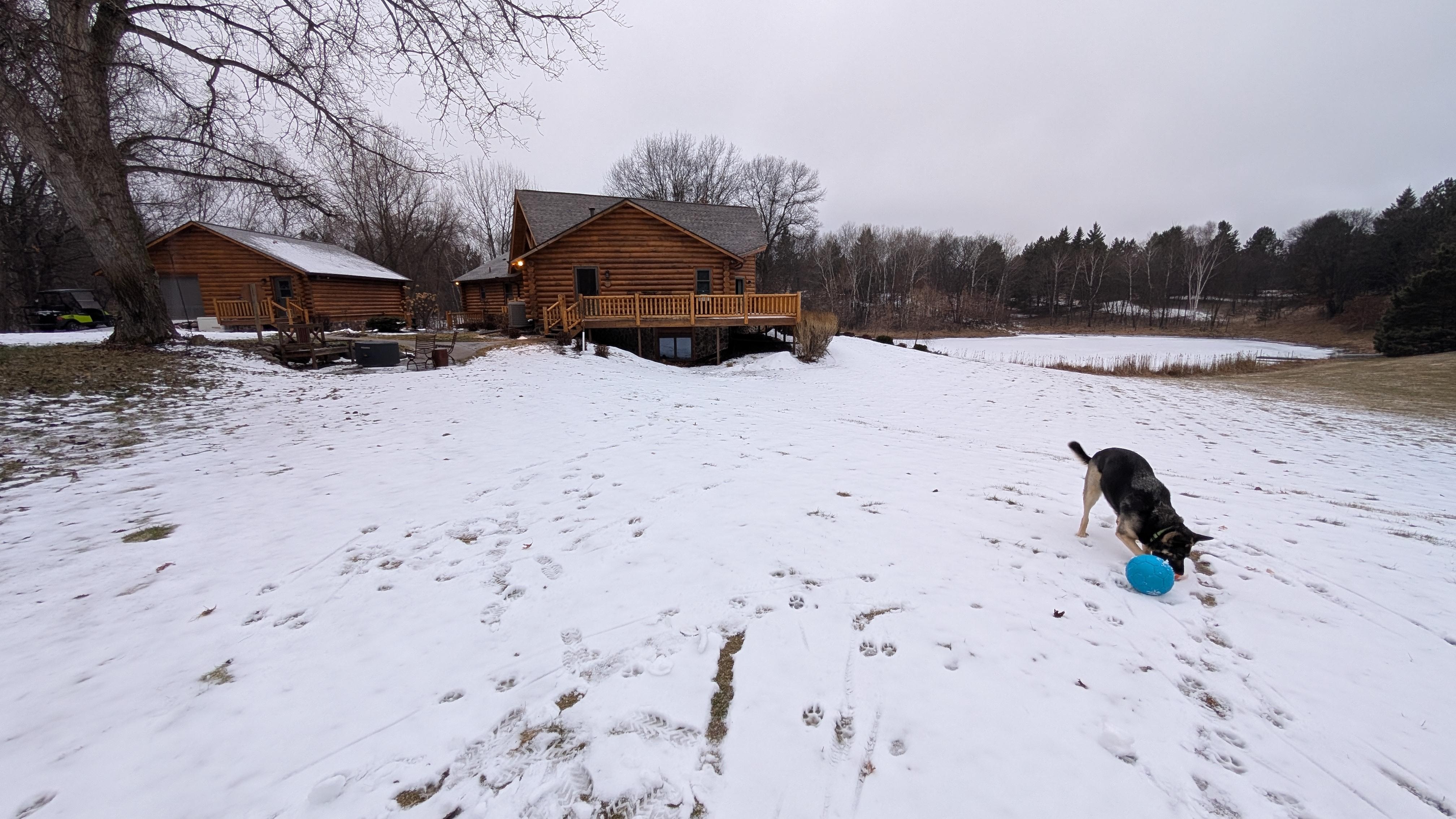Winter play soccer field for the pooch.