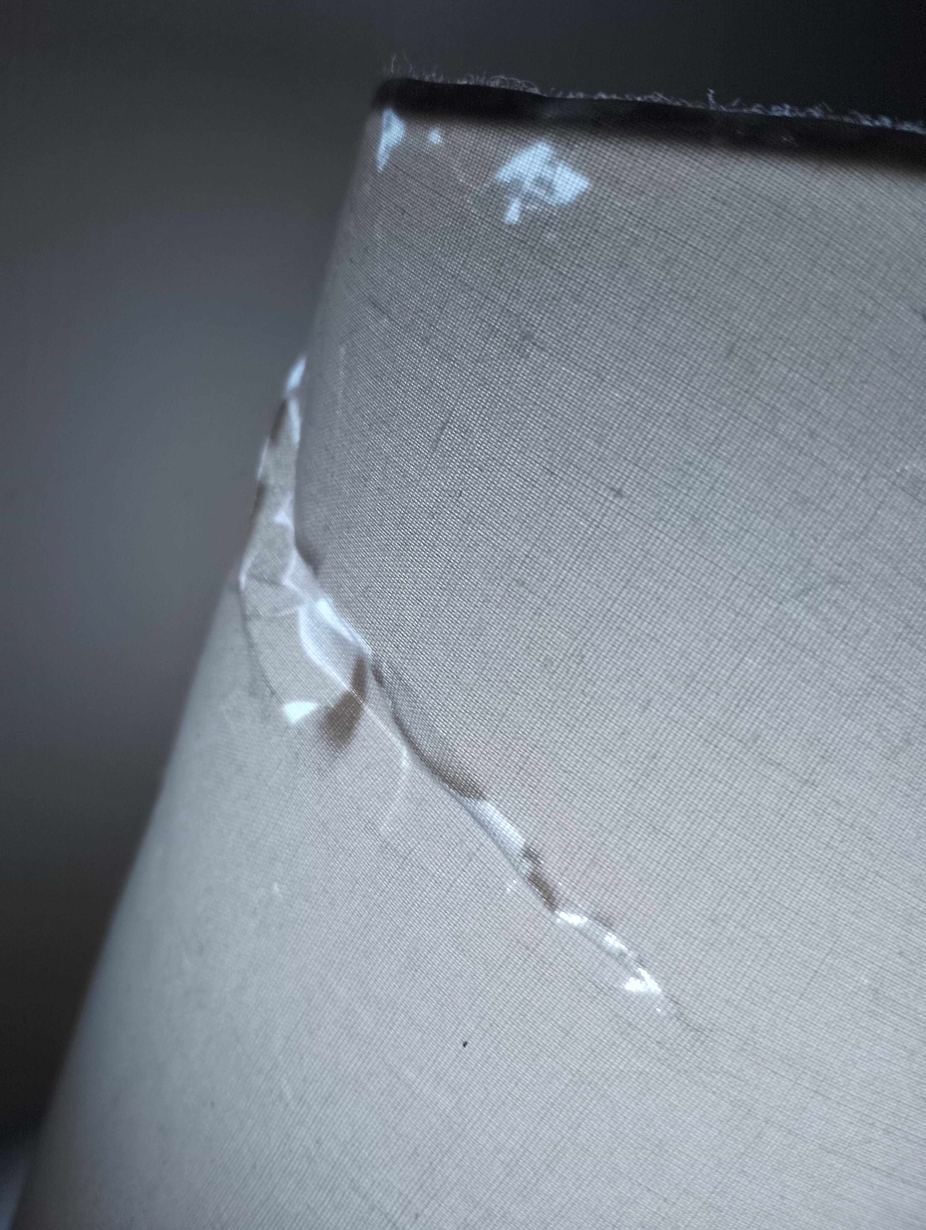 Torn lampshade.
