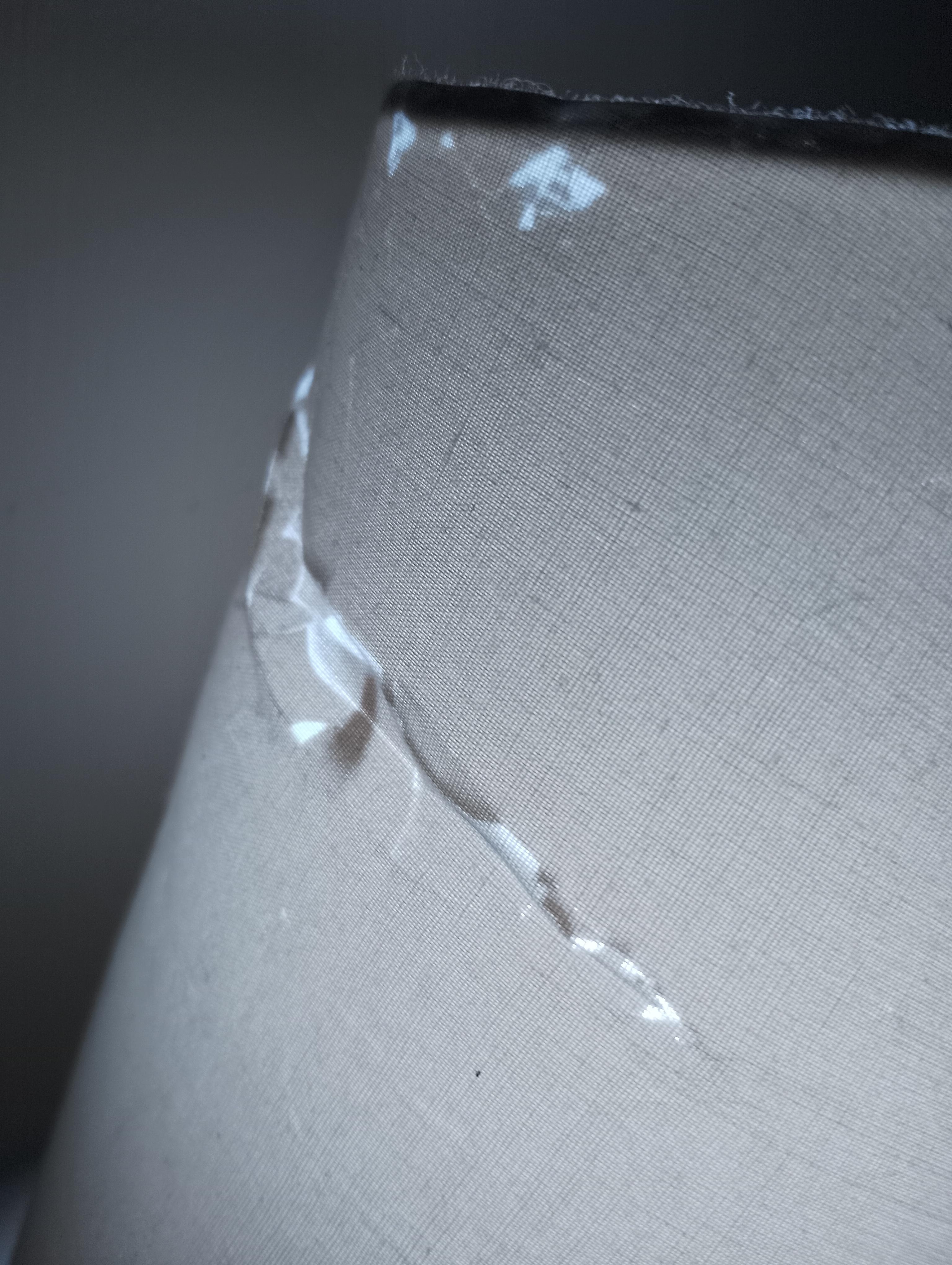 Torn lampshade.